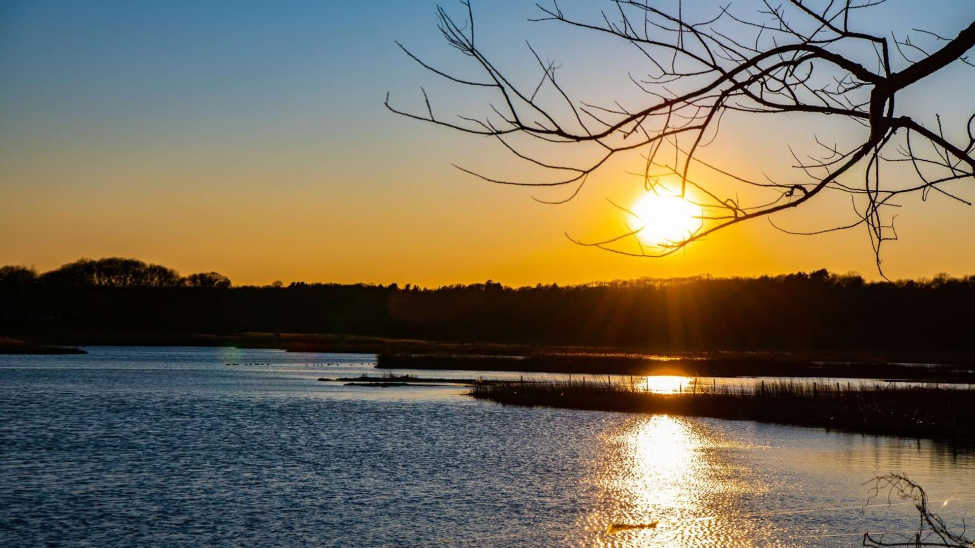Hyatt Regency Long Island gallery photo in Hauppauge, NY — image 31
