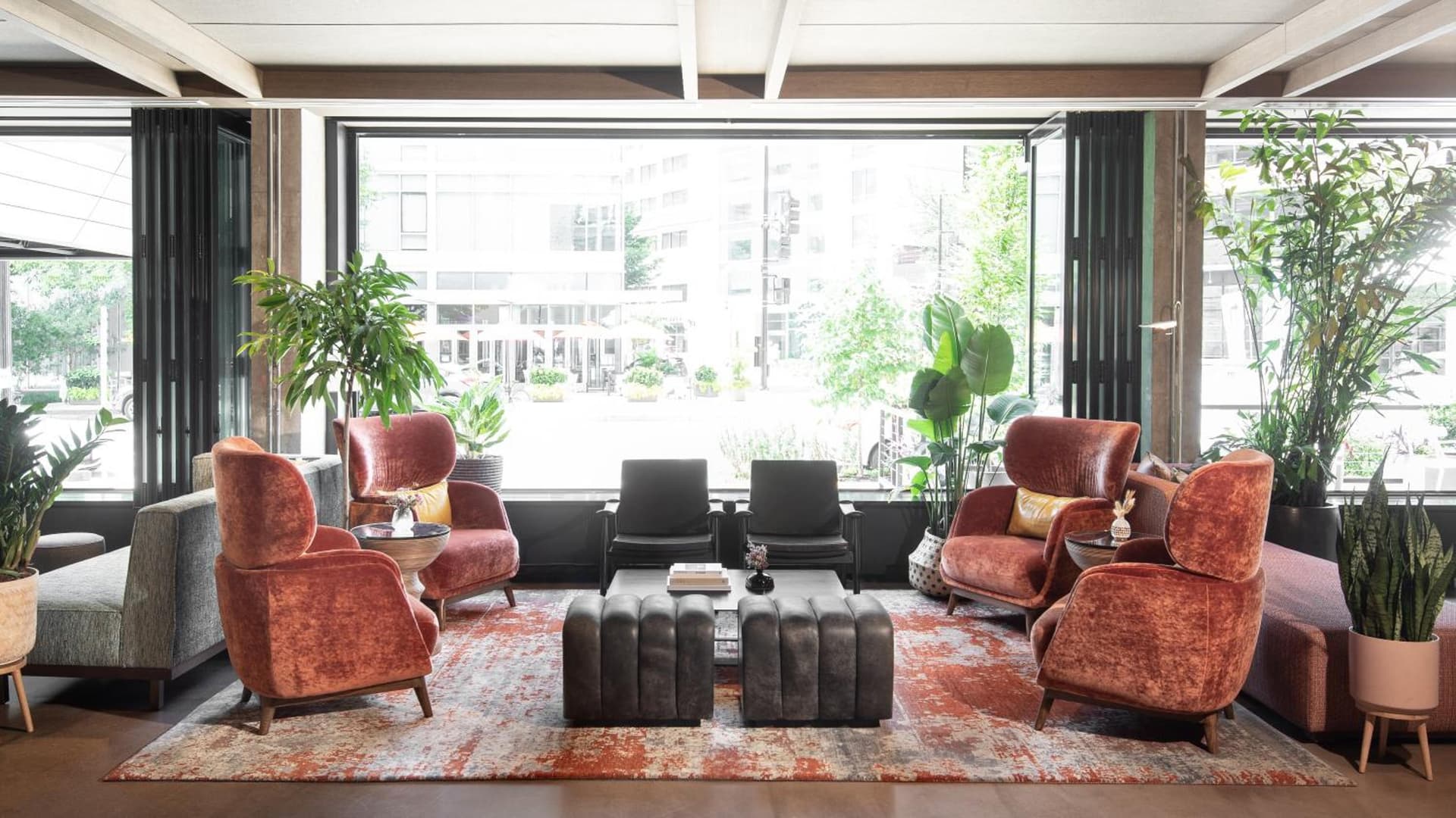 Vignette Collection Yours Truly DC by IHG gallery photo in Washington, DC — image 10