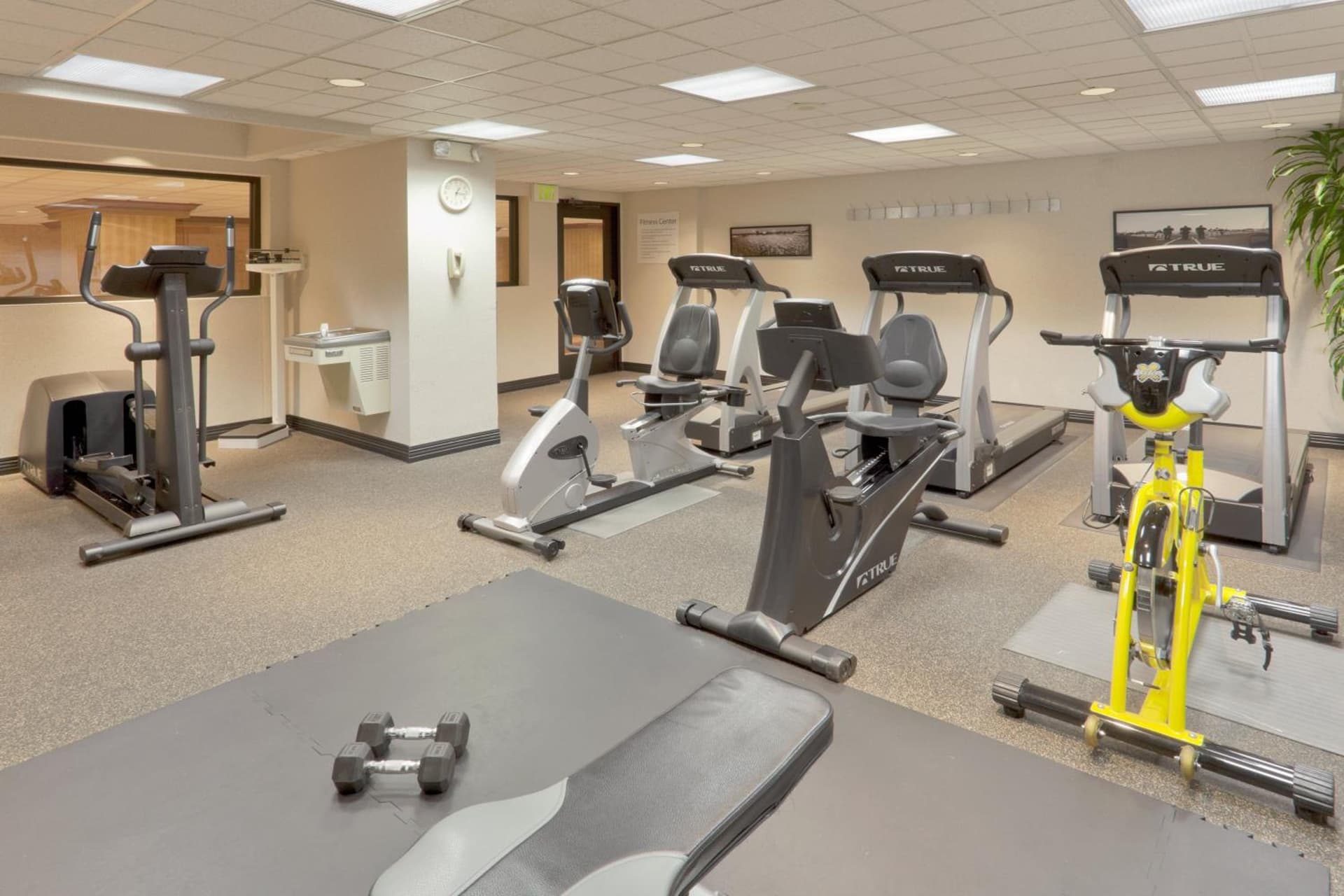 Holiday Inn Sacramento Downtown-Arena by IHG gallery photo in Sacramento, CA — image 8