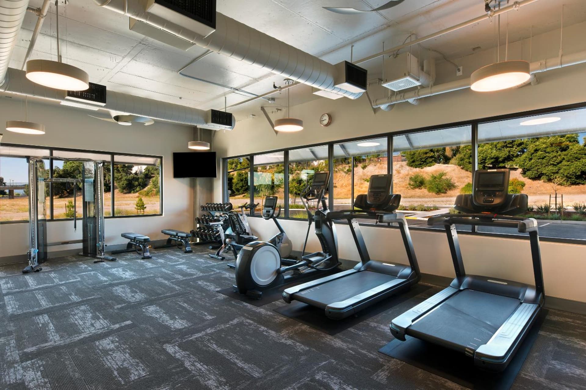Oxford Suites Paso Robles gallery photo in Paso Robles, CA — image 12