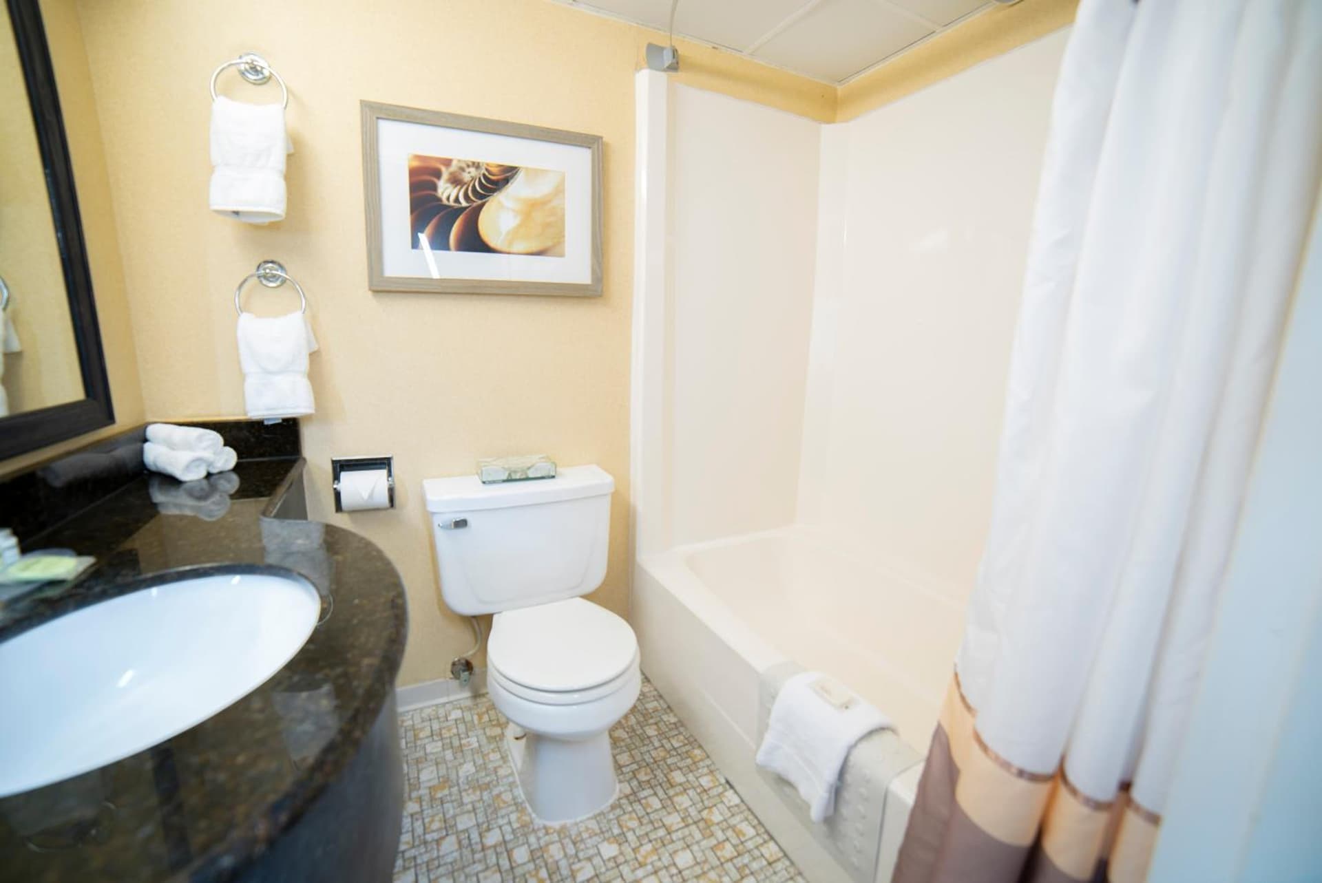 The Oceanfront Inn - Virginia Beach gallery photo in Virginia Beach, VA — image 22