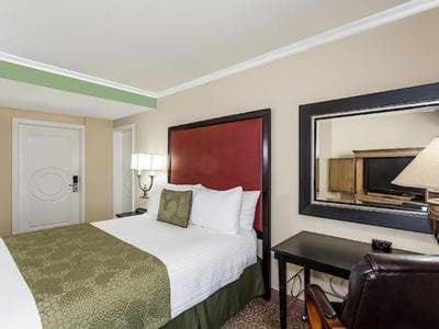 Safety Harbor Resort & Spa Trademark Collection by Wyndham gallery photo in Safety Harbor, FL — image 91