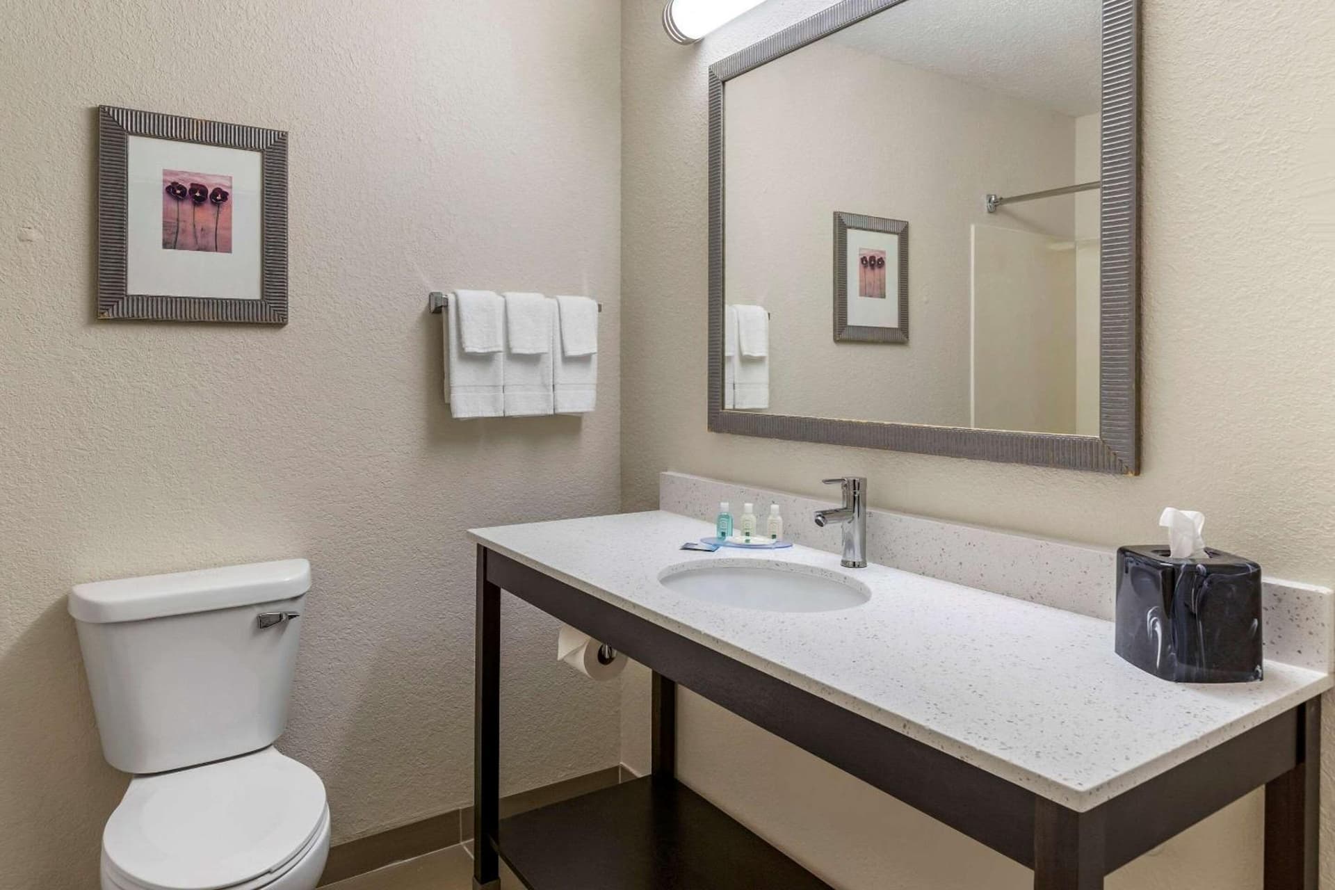 Quality Inn & Suites gallery photo in Bay City, MI — image 5