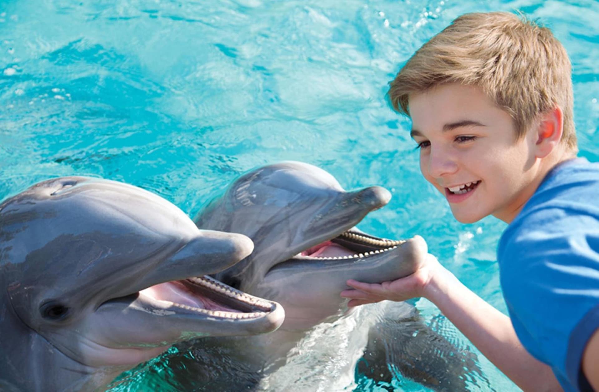 Holiday Inn Express San Diego - Sea World Area by IHG gallery photo in San Diego, CA — image 24