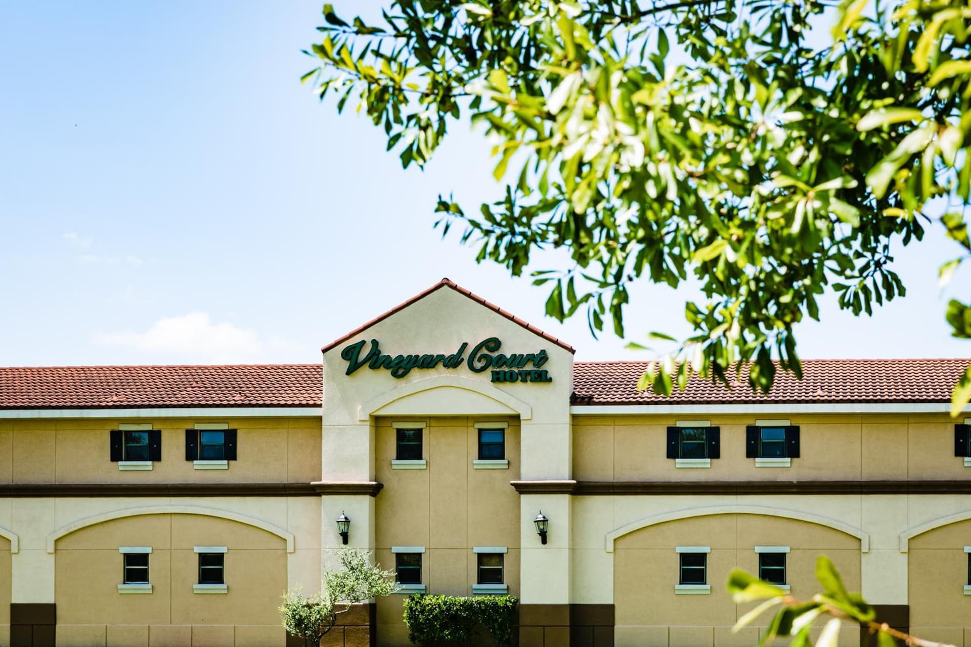 Vineyard Court Designer Suites Hotel gallery photo in College Station, TX — image 27