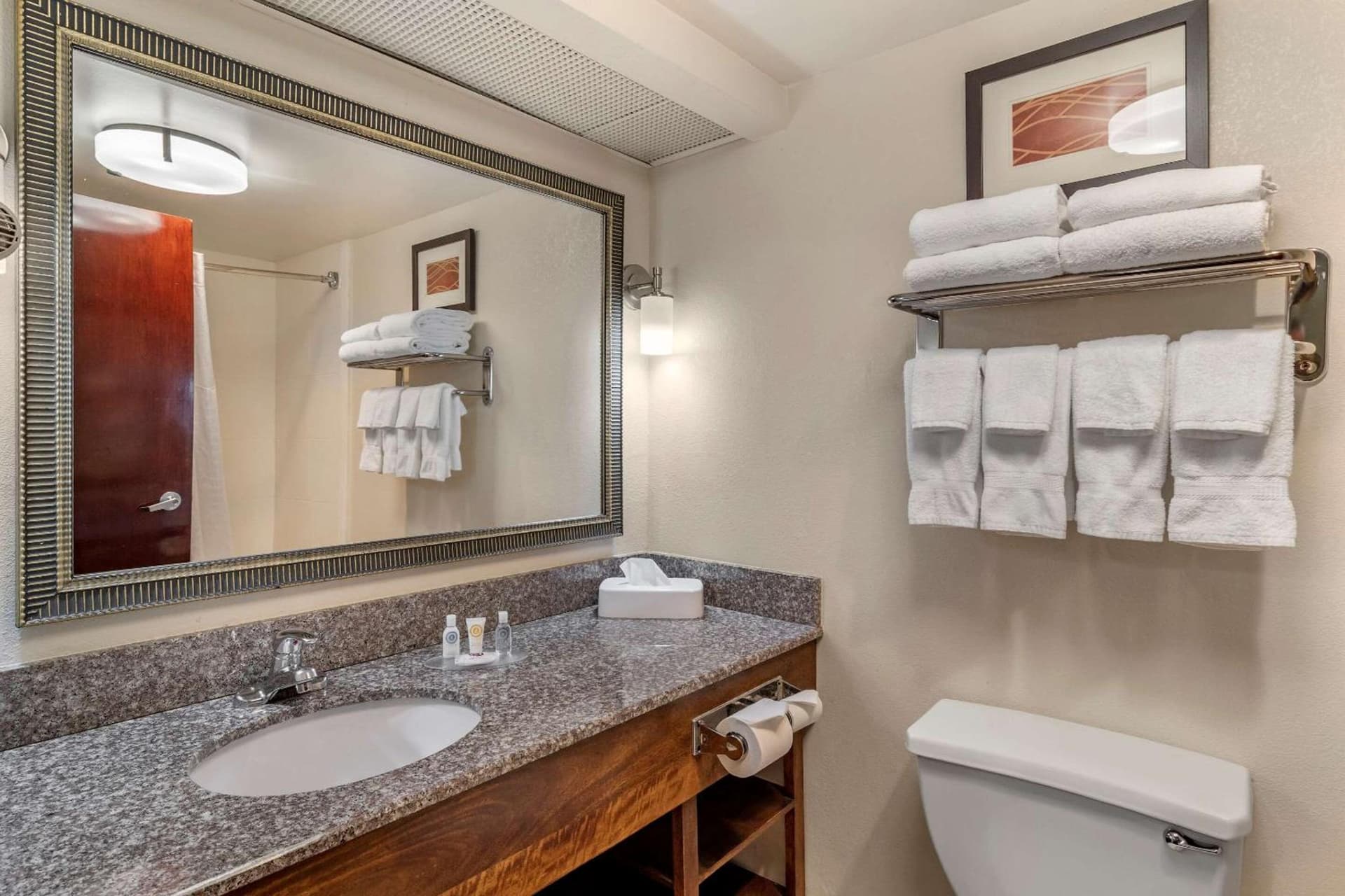 Comfort Inn & Suites Athens North gallery photo in Athens, GA — image 6