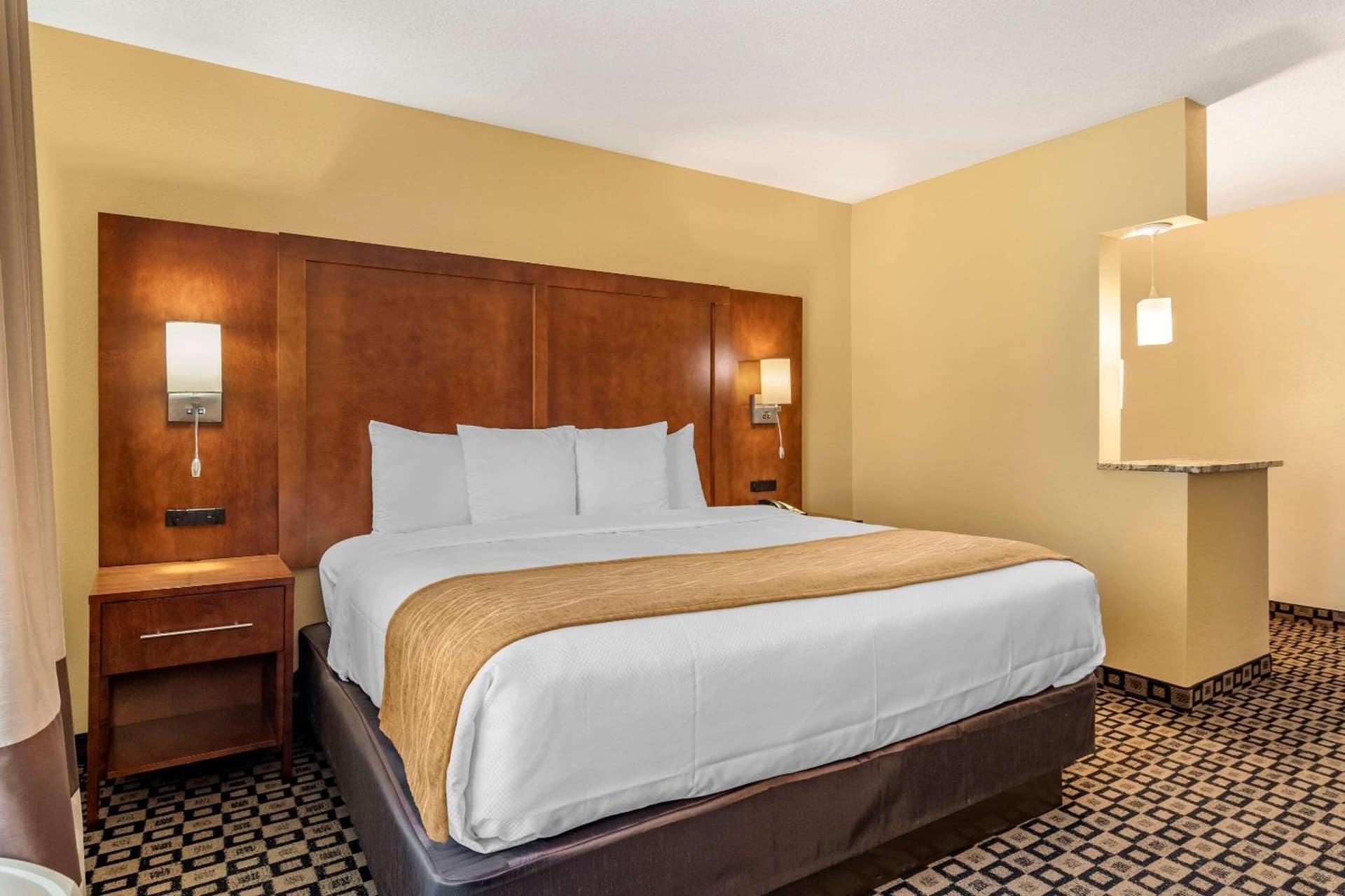 Comfort Inn & Suites Athens North gallery photo in Athens, GA — image 37