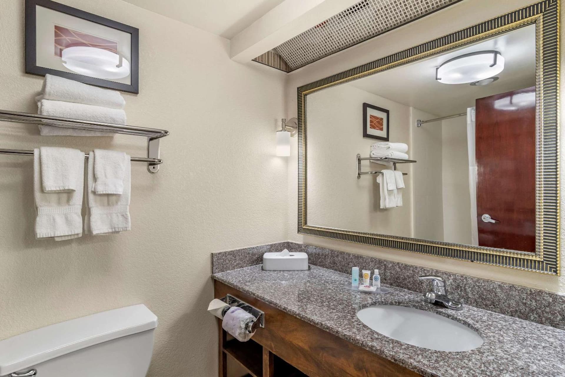 Comfort Inn & Suites Athens North gallery photo in Athens, GA — image 20