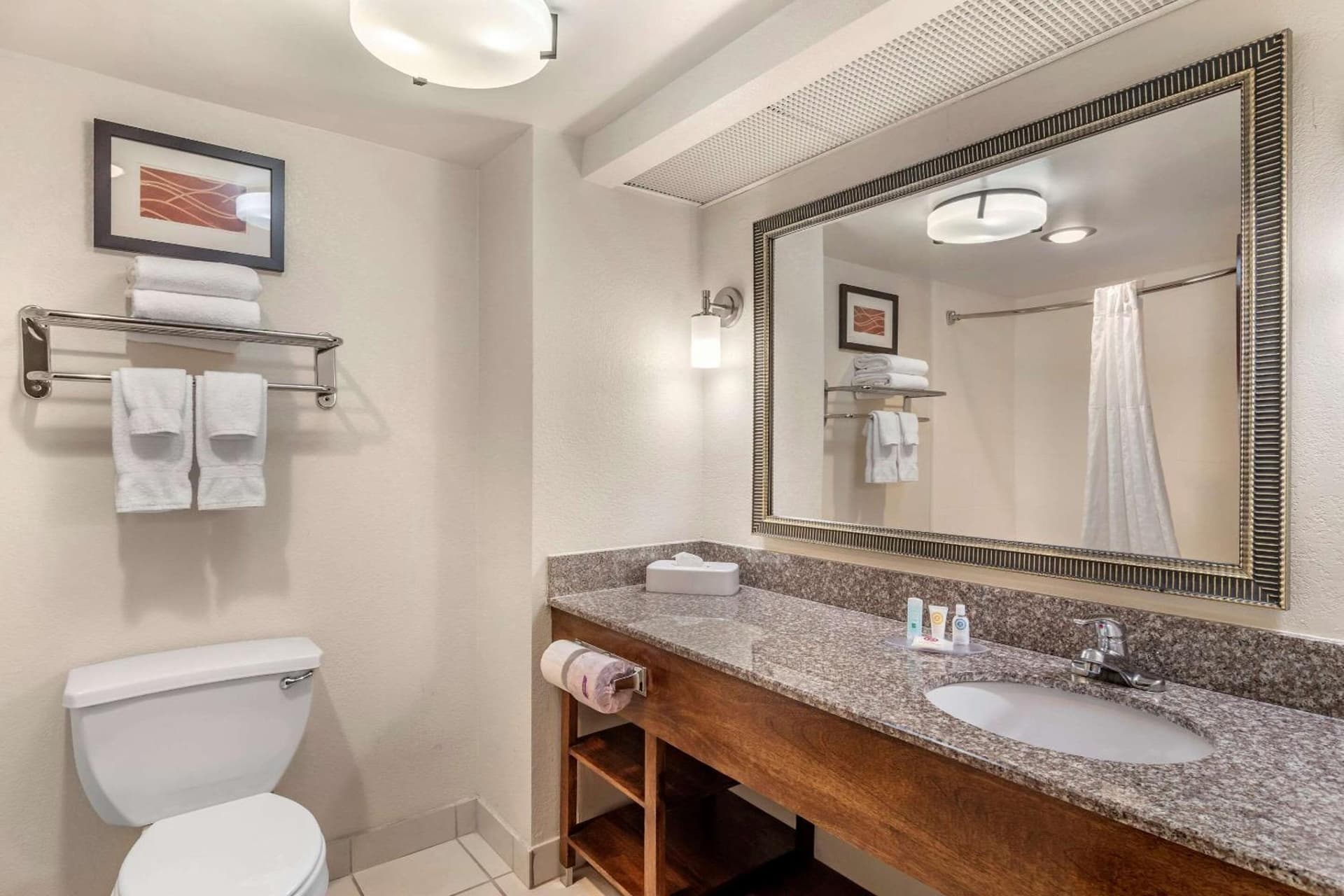 Comfort Inn & Suites Athens North gallery photo in Athens, GA — image 16