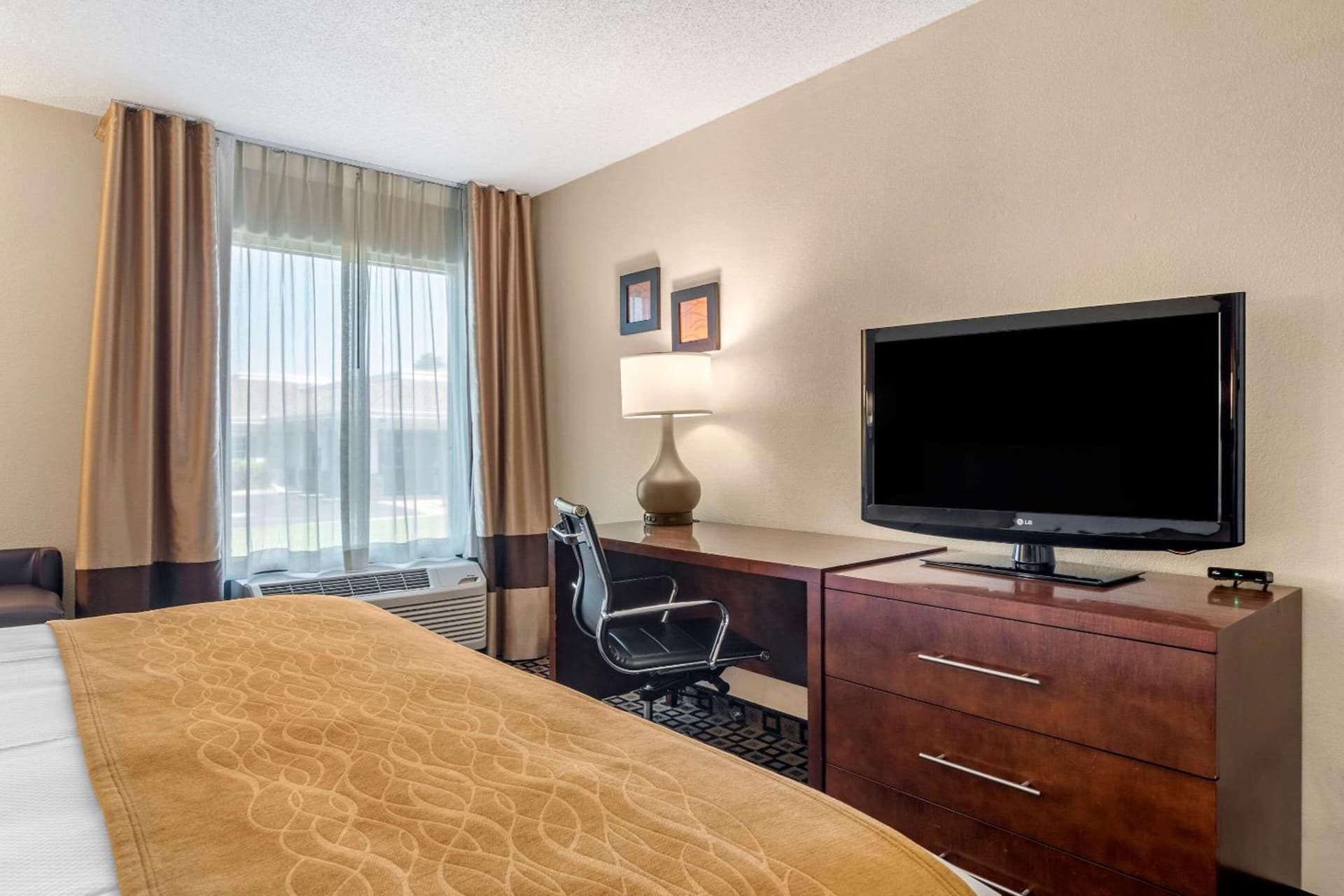 Comfort Inn & Suites Athens North gallery photo in Athens, GA — image 21