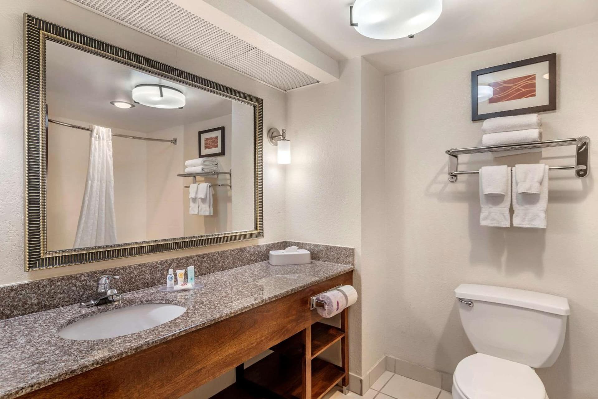 Comfort Inn & Suites Athens North gallery photo in Athens, GA — image 15