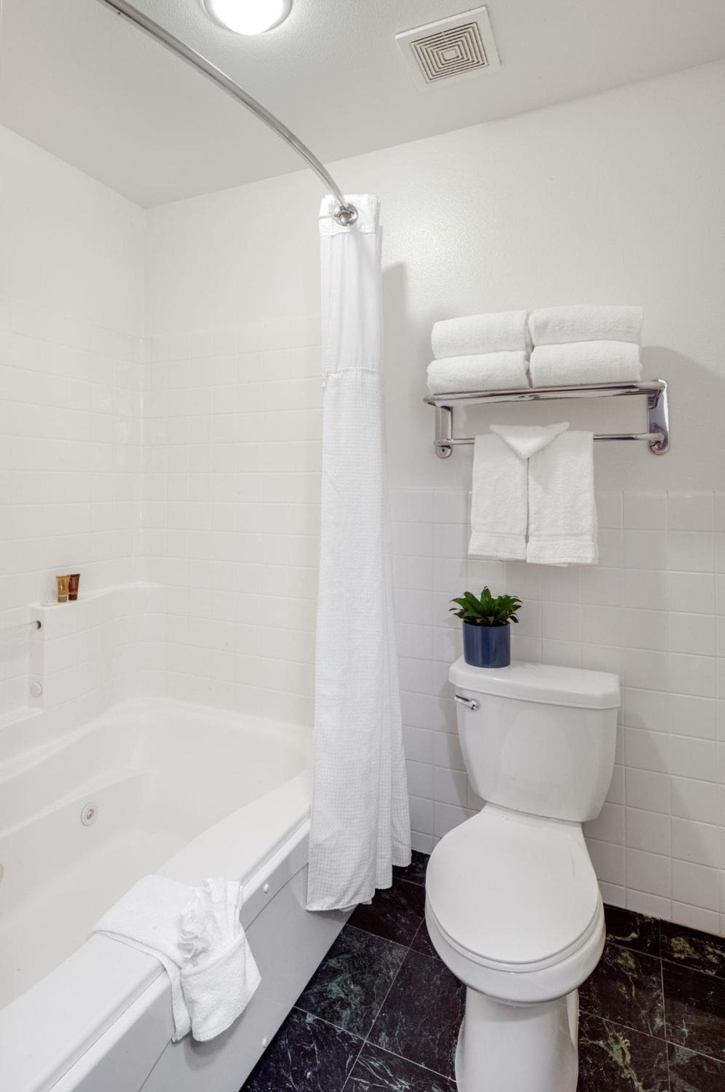 Ayres Suites Mission Viejo - Lake Forest gallery photo in Mission Viejo, CA — image 21