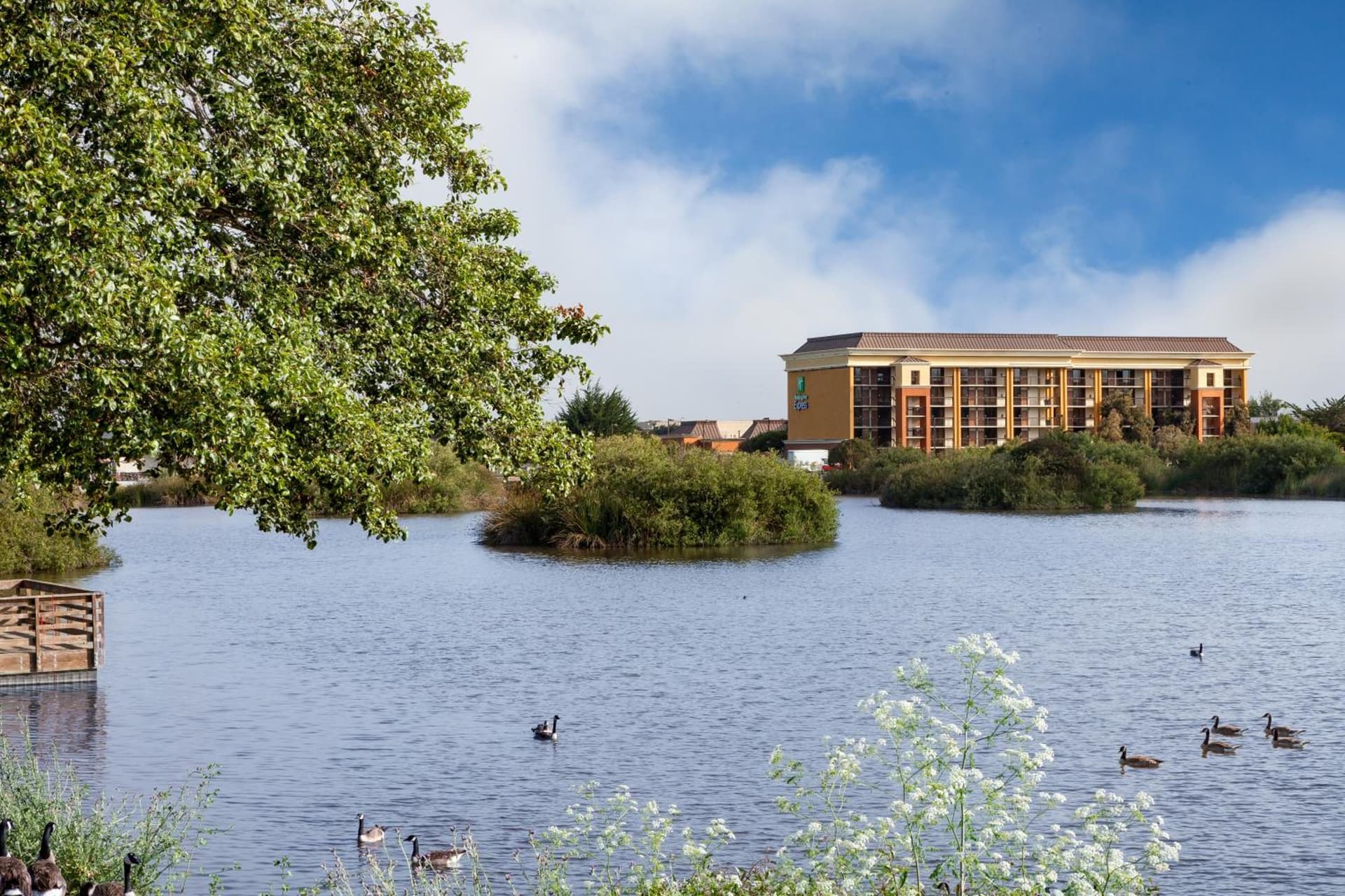 Holiday Inn Express at Monterey Bay by IHG gallery photo in Seaside, CA — image 6