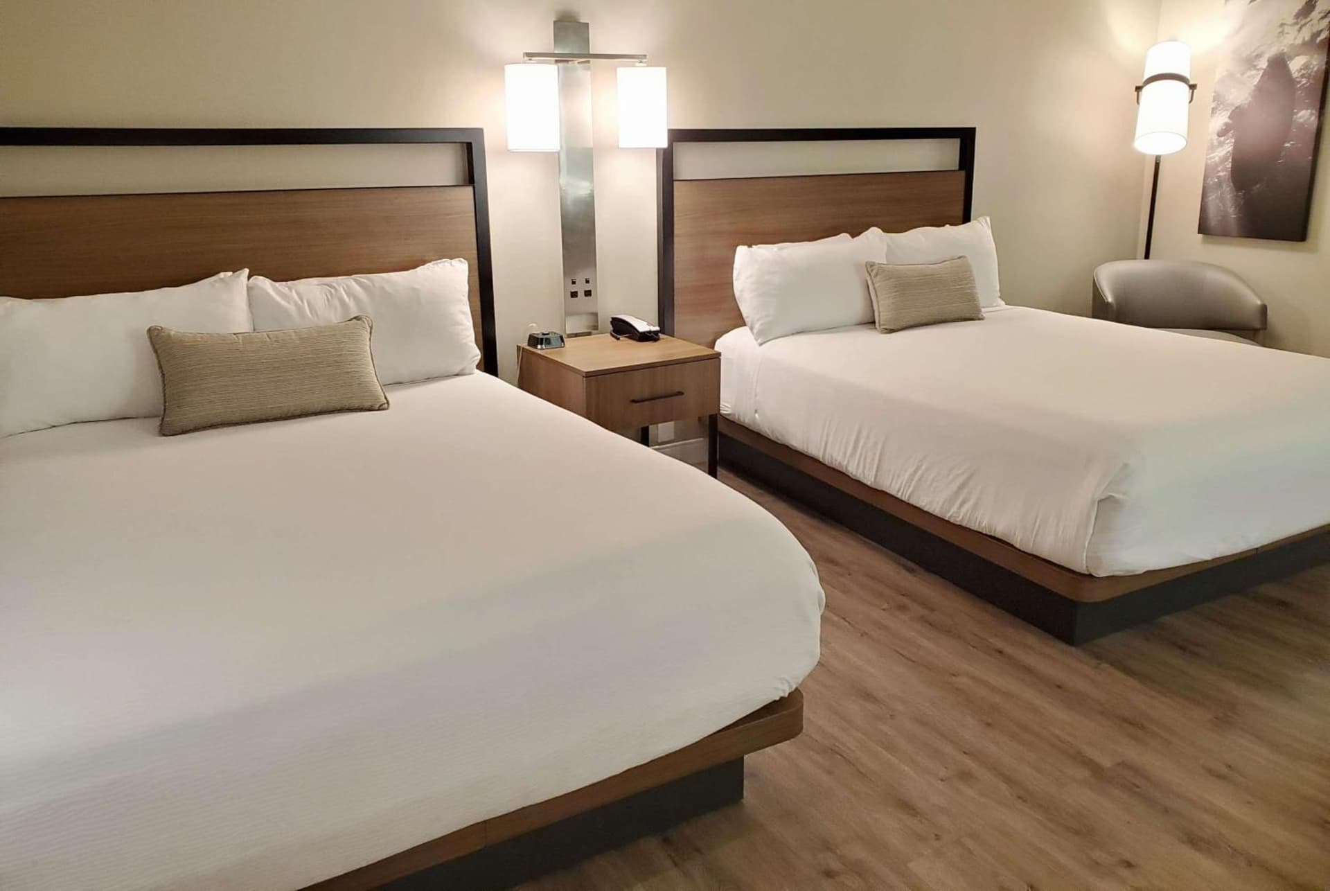 Wyndham Garden San Diego near SeaWorld gallery photo in San Diego, CA — image 41