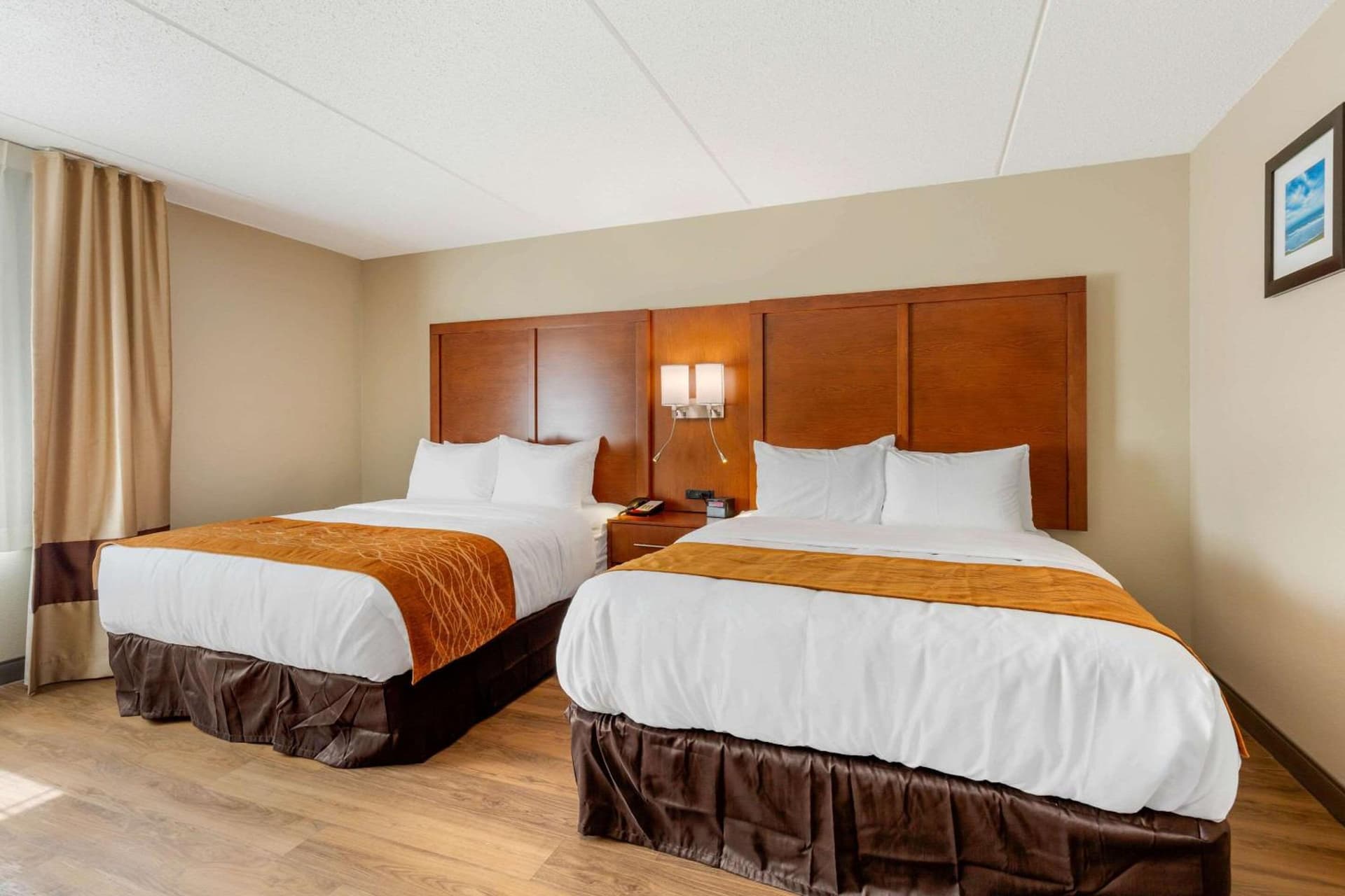 Comfort Inn & Suites Milford gallery photo in Milford, DE — image 6