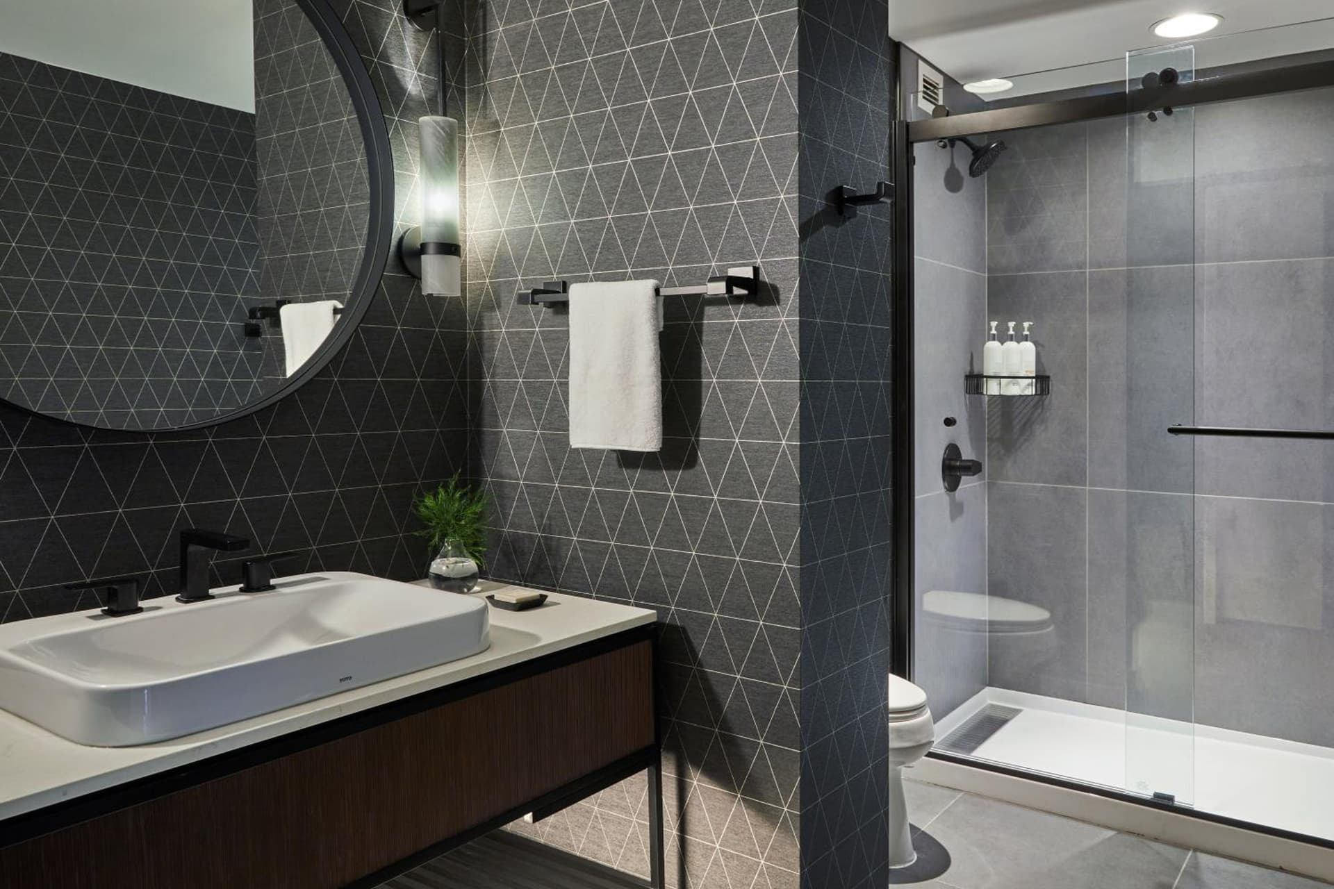 Kimpton Marlowe by IHG gallery photo in Cambridge, MA — image 22