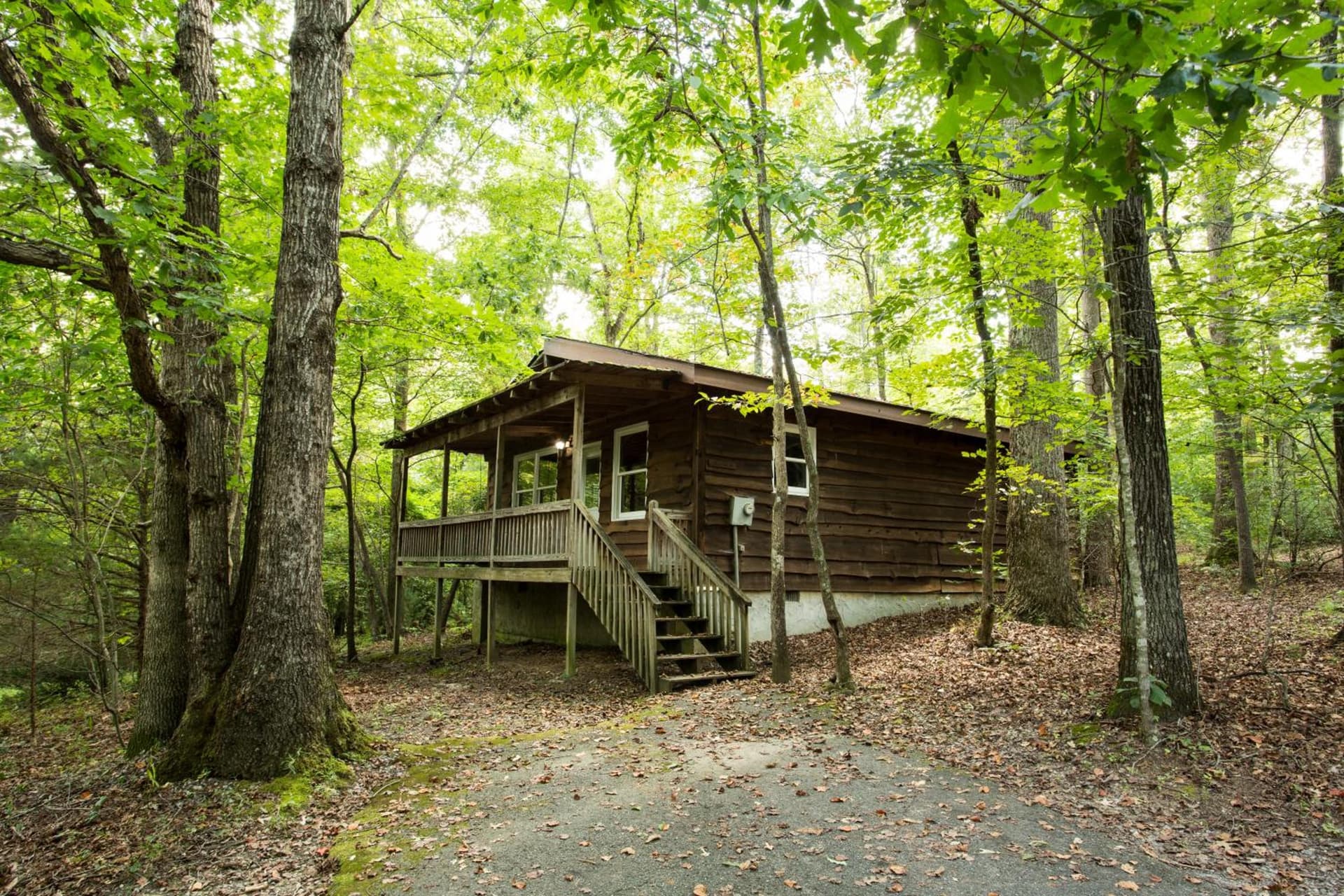 Forrest Hills Mountain Resort featured exterior or lobby in Dahlonega, GA — similar hotel