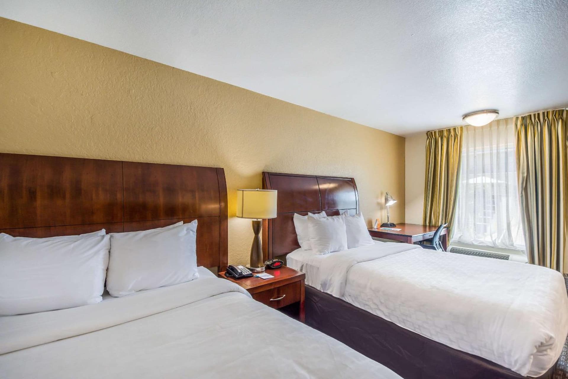 Clarion Inn & Suites Central Clearwater Beach gallery photo in Clearwater, FL — image 16
