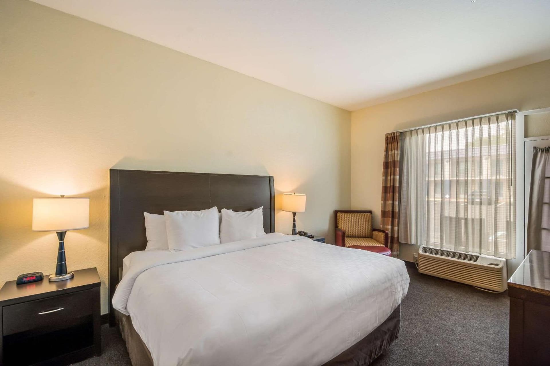 Clarion Inn & Suites Central Clearwater Beach gallery photo in Clearwater, FL — image 35
