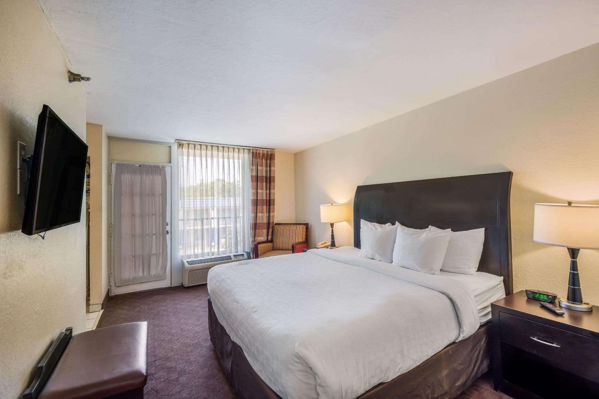 Clarion Inn & Suites Central Clearwater Beach gallery photo in Clearwater, FL — image 65