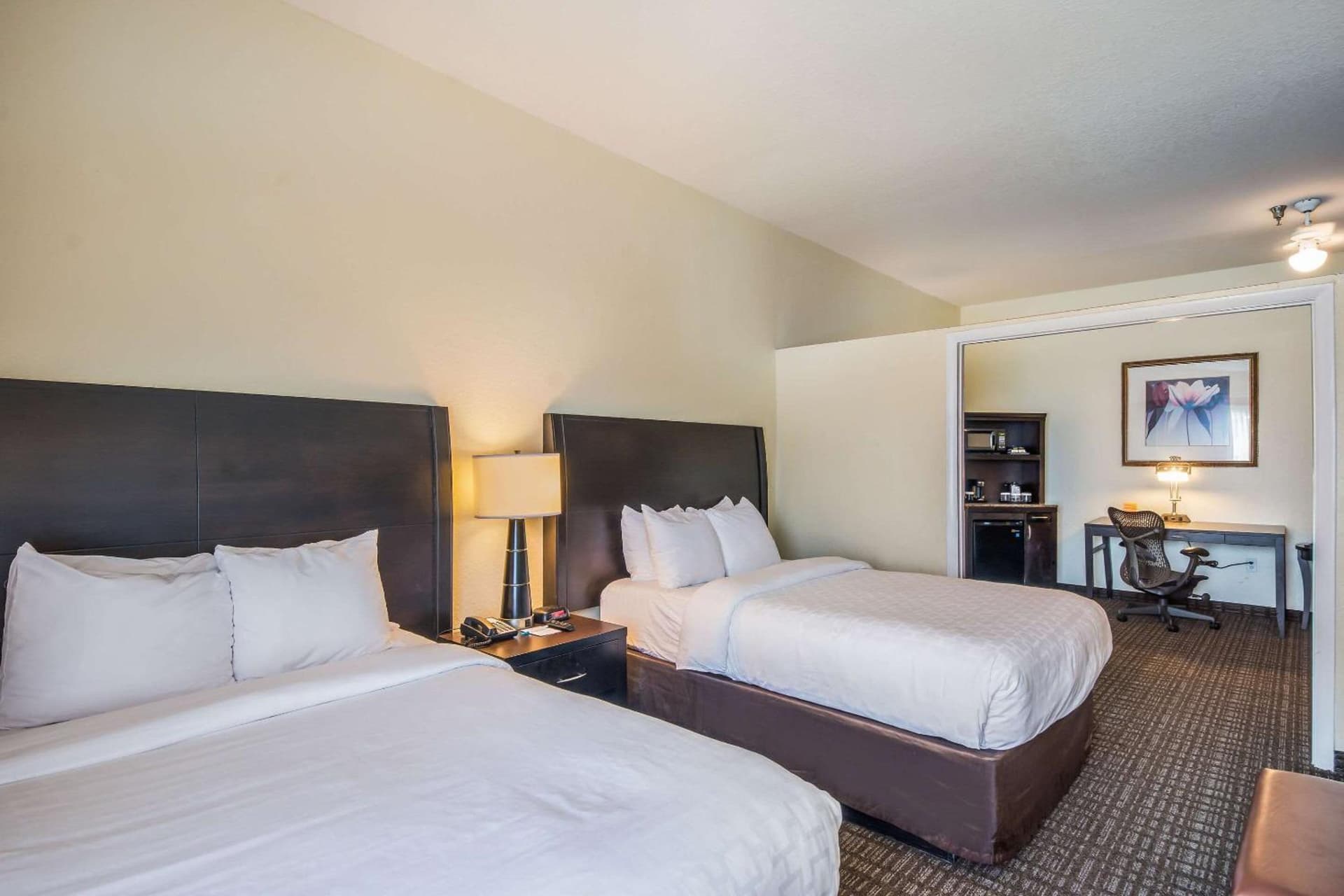 Clarion Inn & Suites Central Clearwater Beach gallery photo in Clearwater, FL — image 73