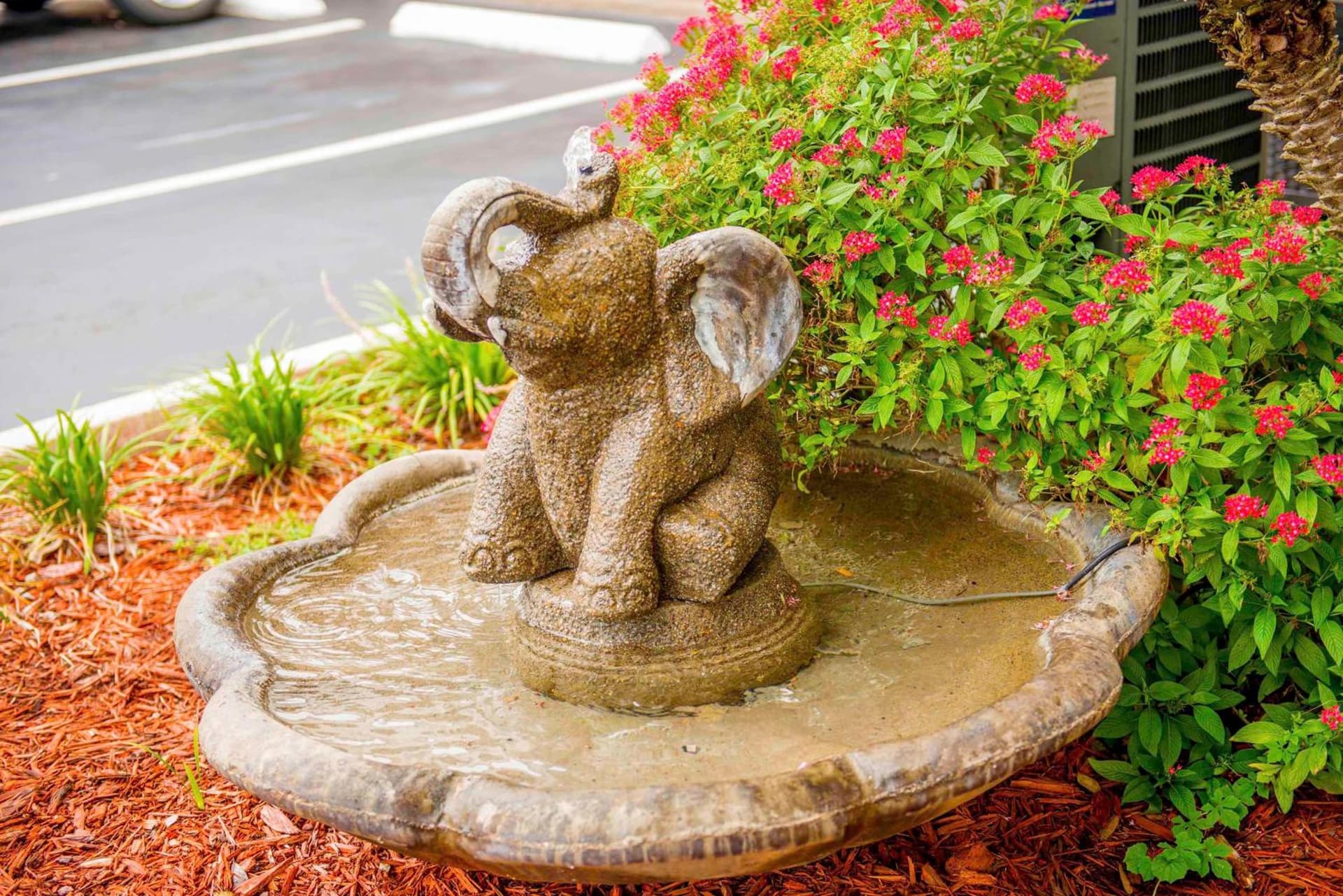 Hotel South Tampa & Suites gallery photo in Tampa, FL — image 34