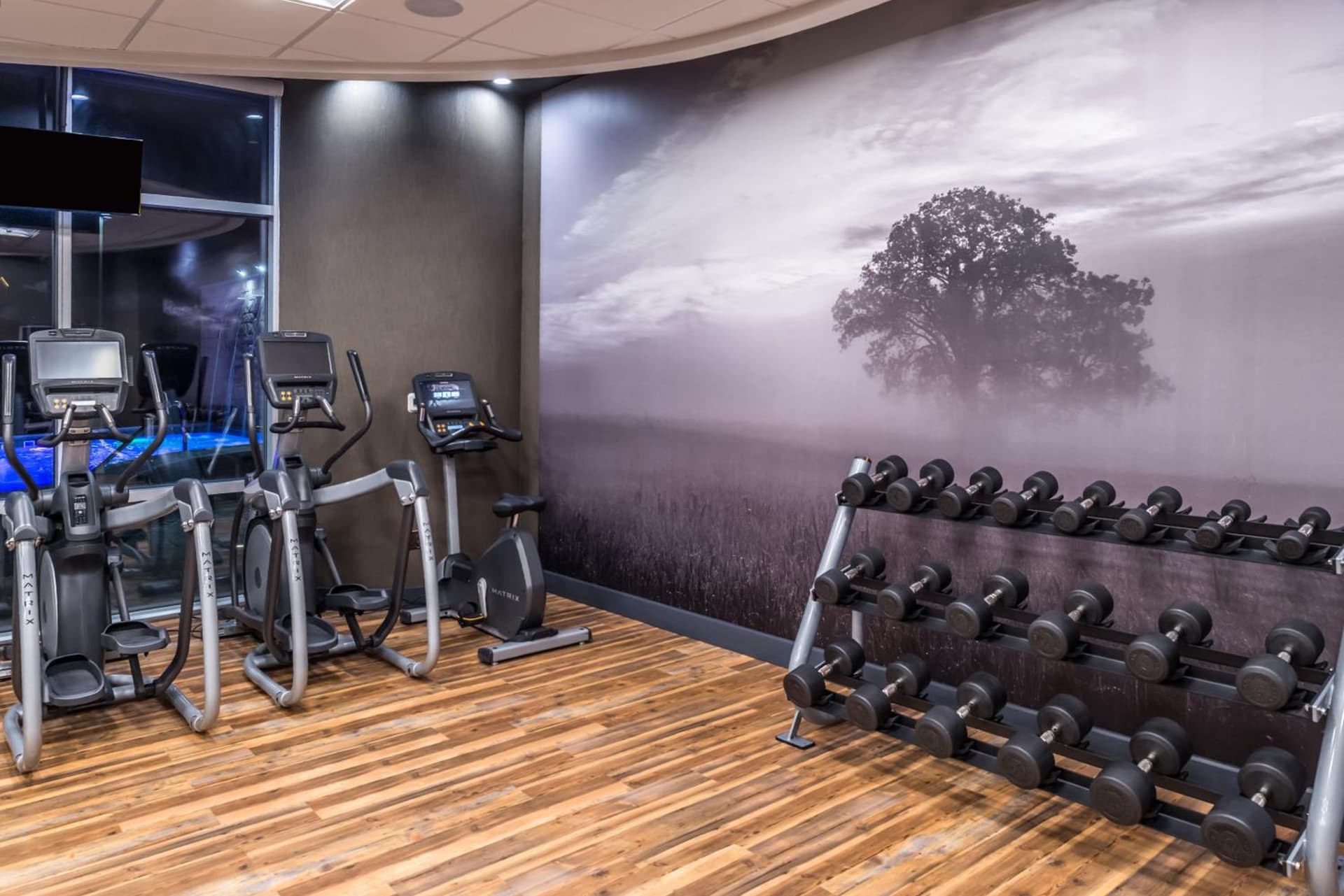 Hotel Indigo Frisco by IHG gallery photo in Frisco, TX — image 26