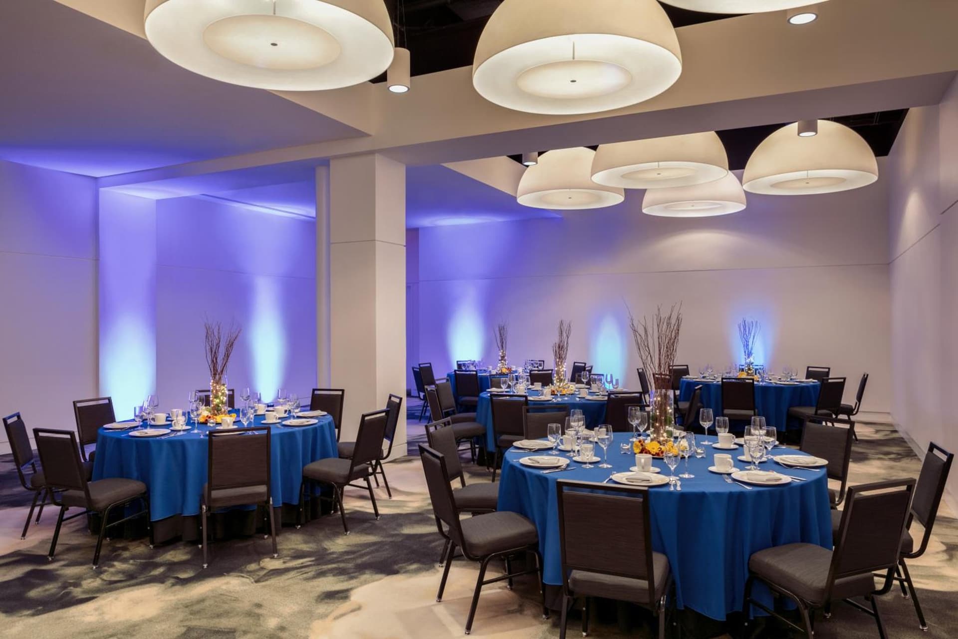 Hotel Indigo Atlanta Downtown by IHG gallery photo in Atlanta, GA — image 63