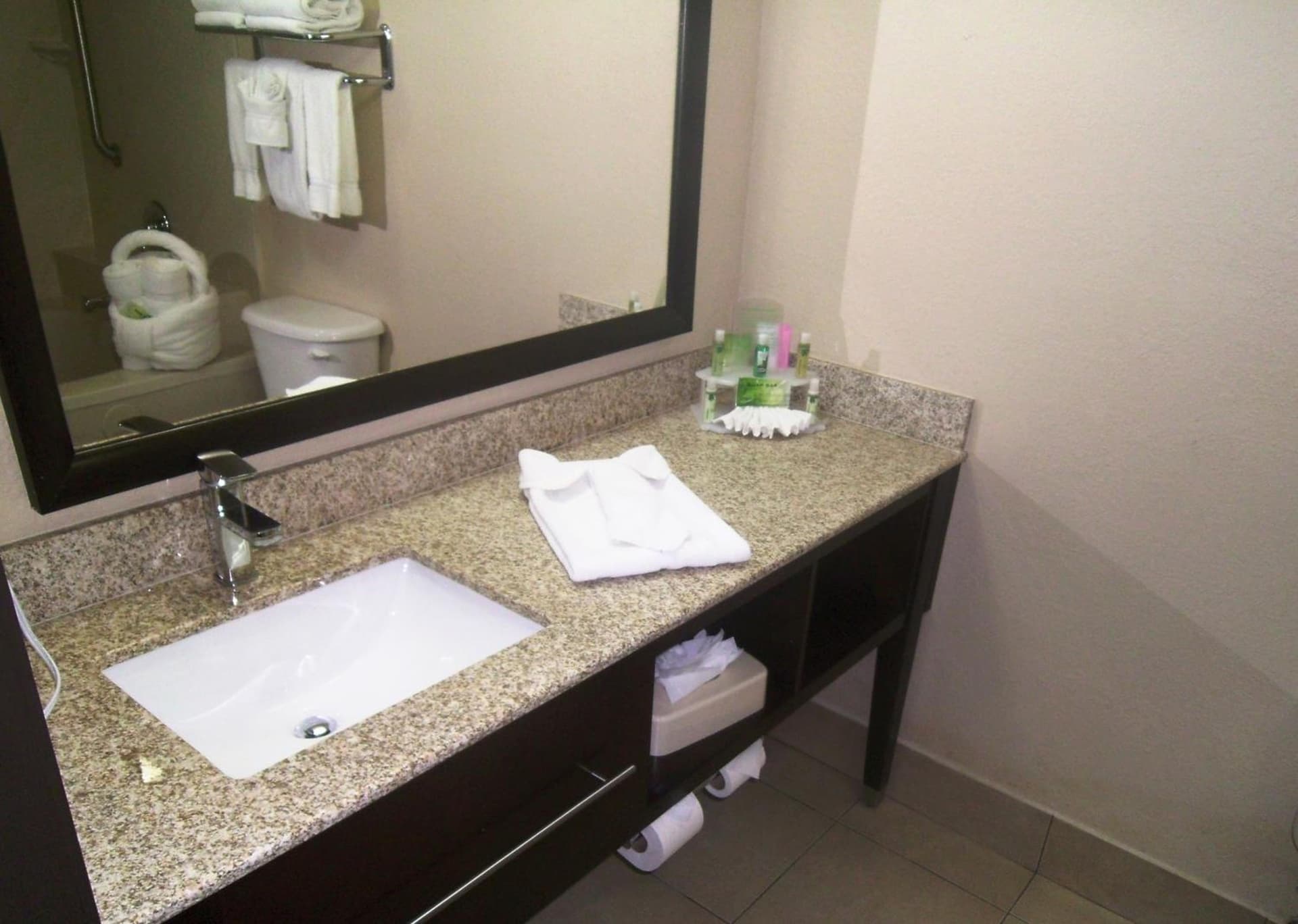 Holiday Inn Express Hotel & Suites Orange City - Deltona by IHG gallery photo in Orange City, FL — image 16