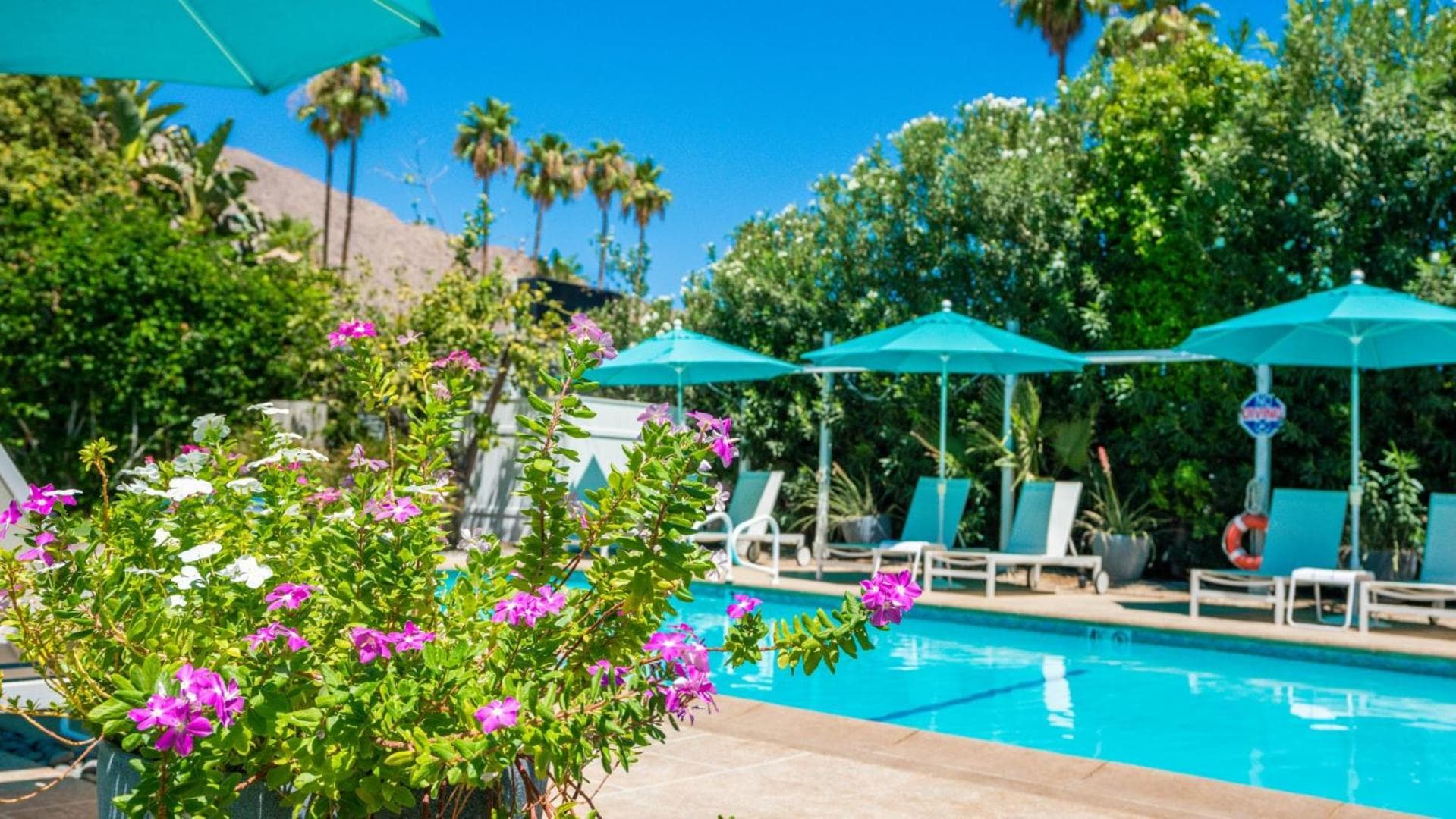 BelleVue Oasis - Adults Only property views in Palm Springs, CA — gallery photo 3
