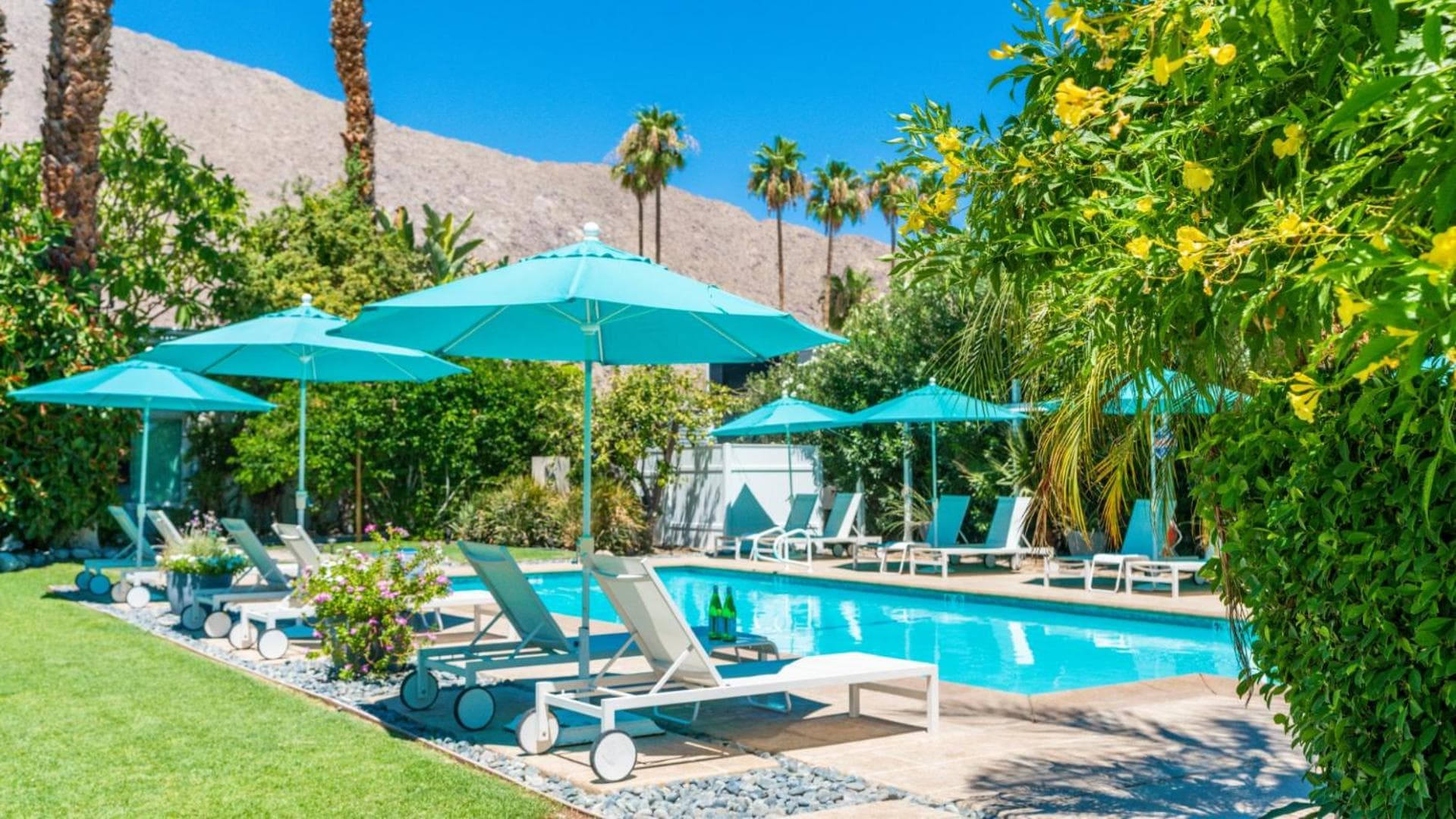 BelleVue Oasis - Adults Only property views in Palm Springs, CA — gallery photo 3