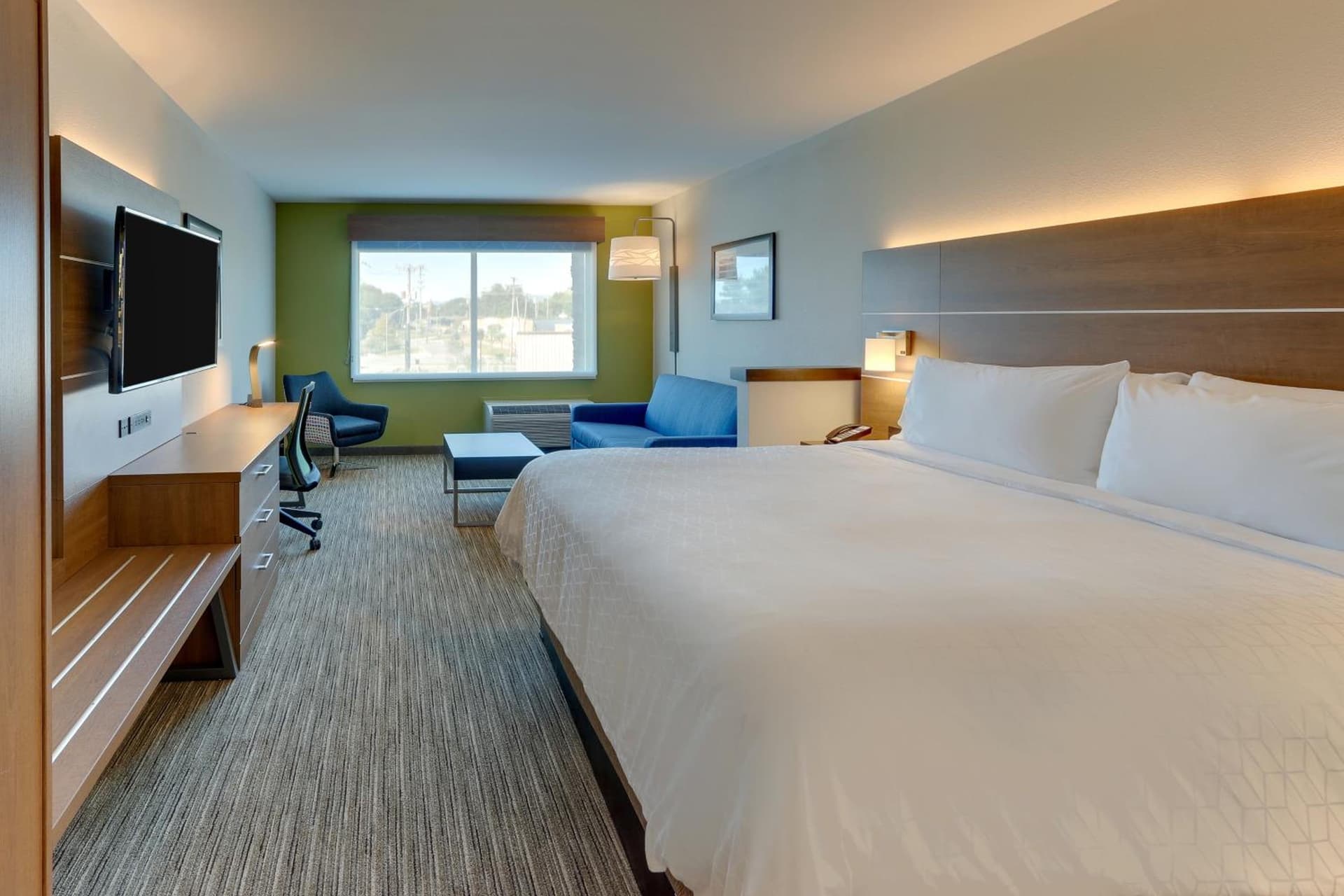 Holiday Inn Express & Suites - Roanoke – Civic Center gallery photo in Roanoke, VA — image 82
