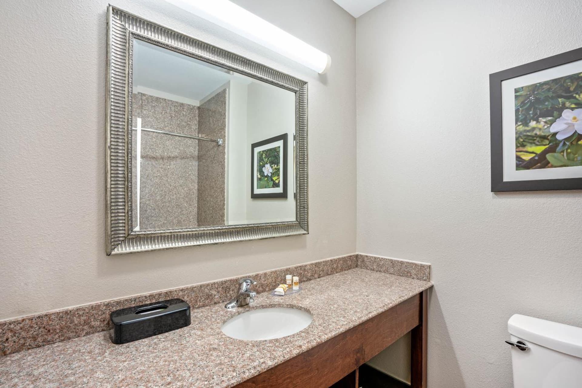 La Quinta by Wyndham Houston - Magnolia gallery photo in The Woodlands, TX — image 22