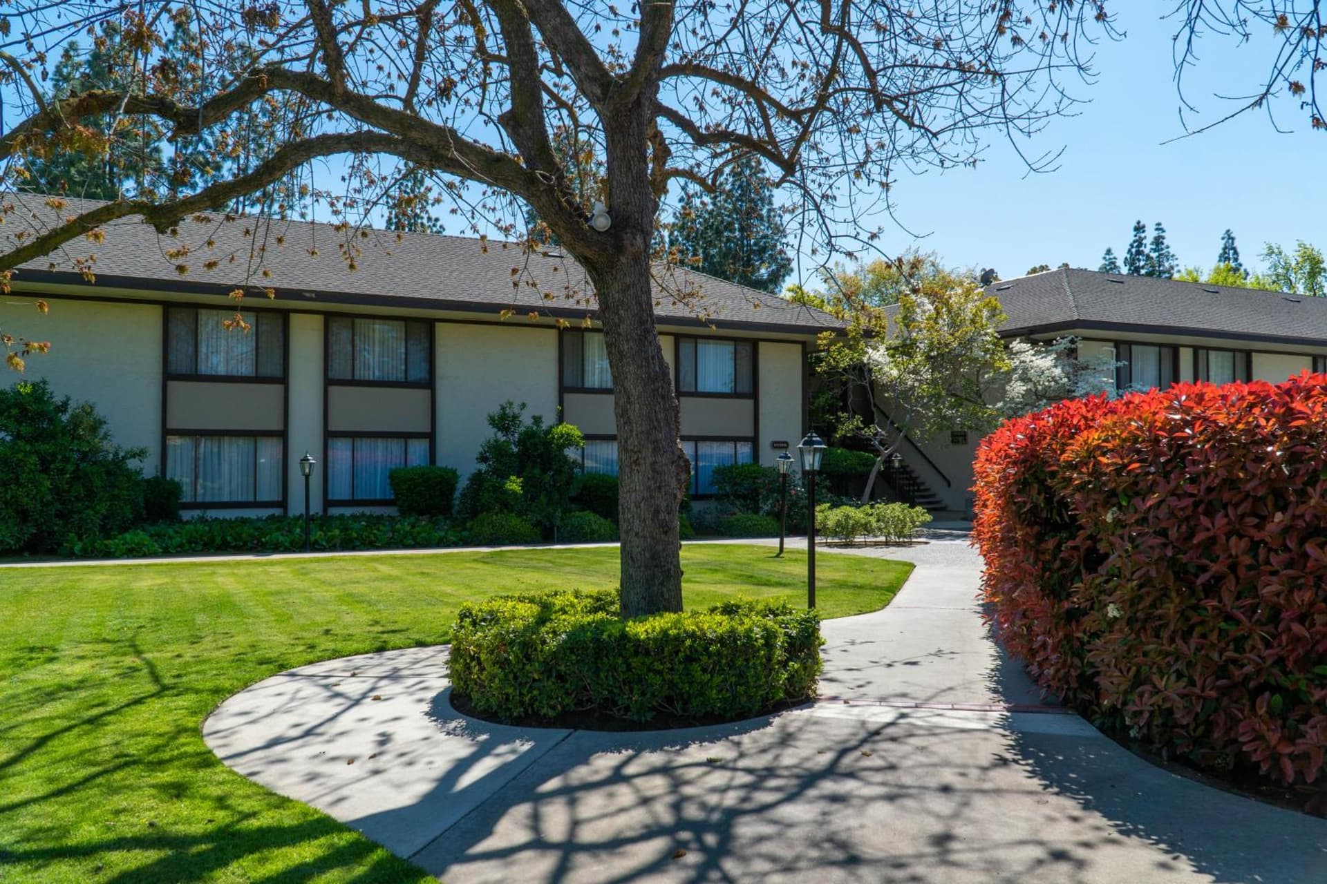 Hotel Piccadilly gallery photo in Fresno, CA — image 64