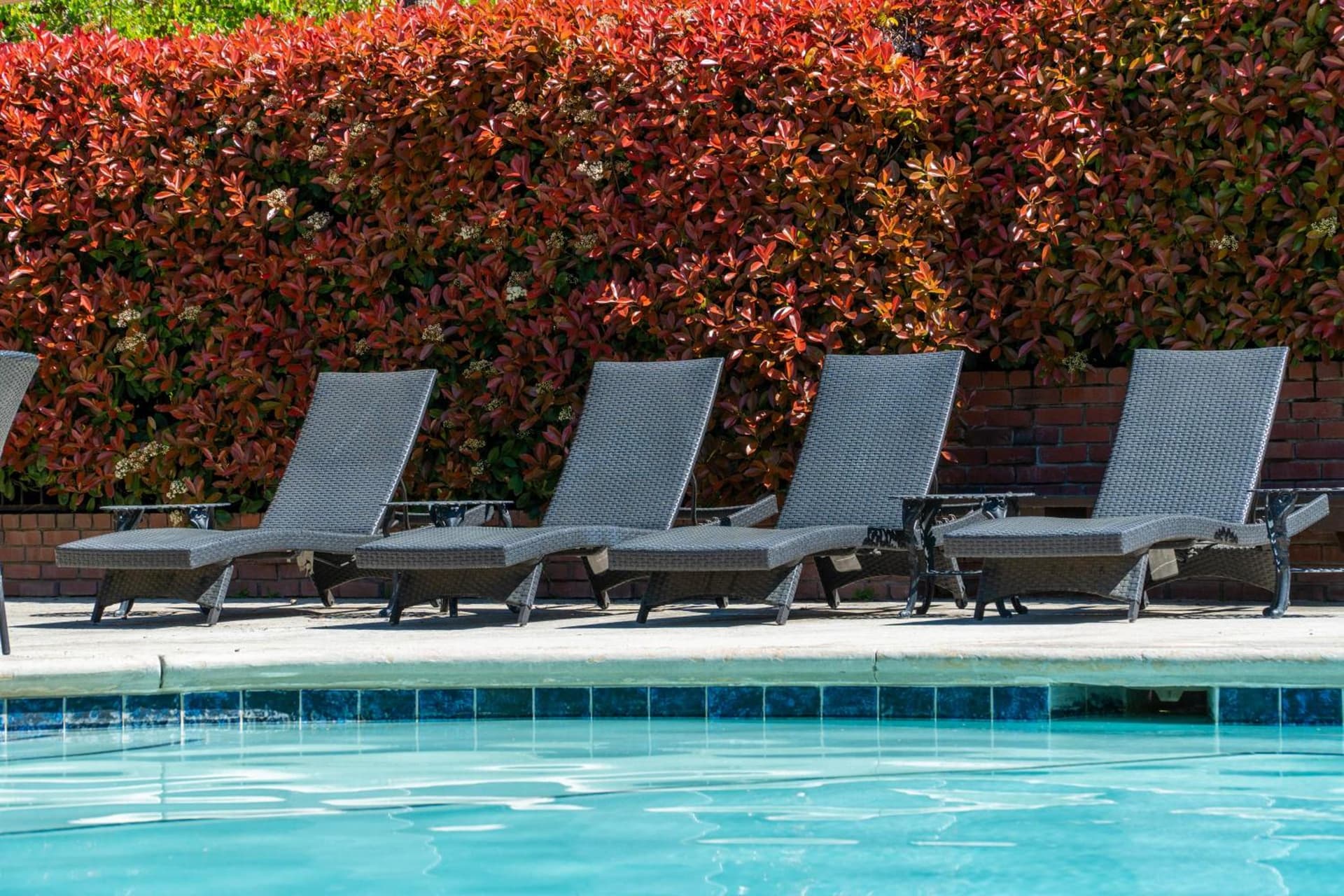 Hotel Piccadilly gallery photo in Fresno, CA — image 7