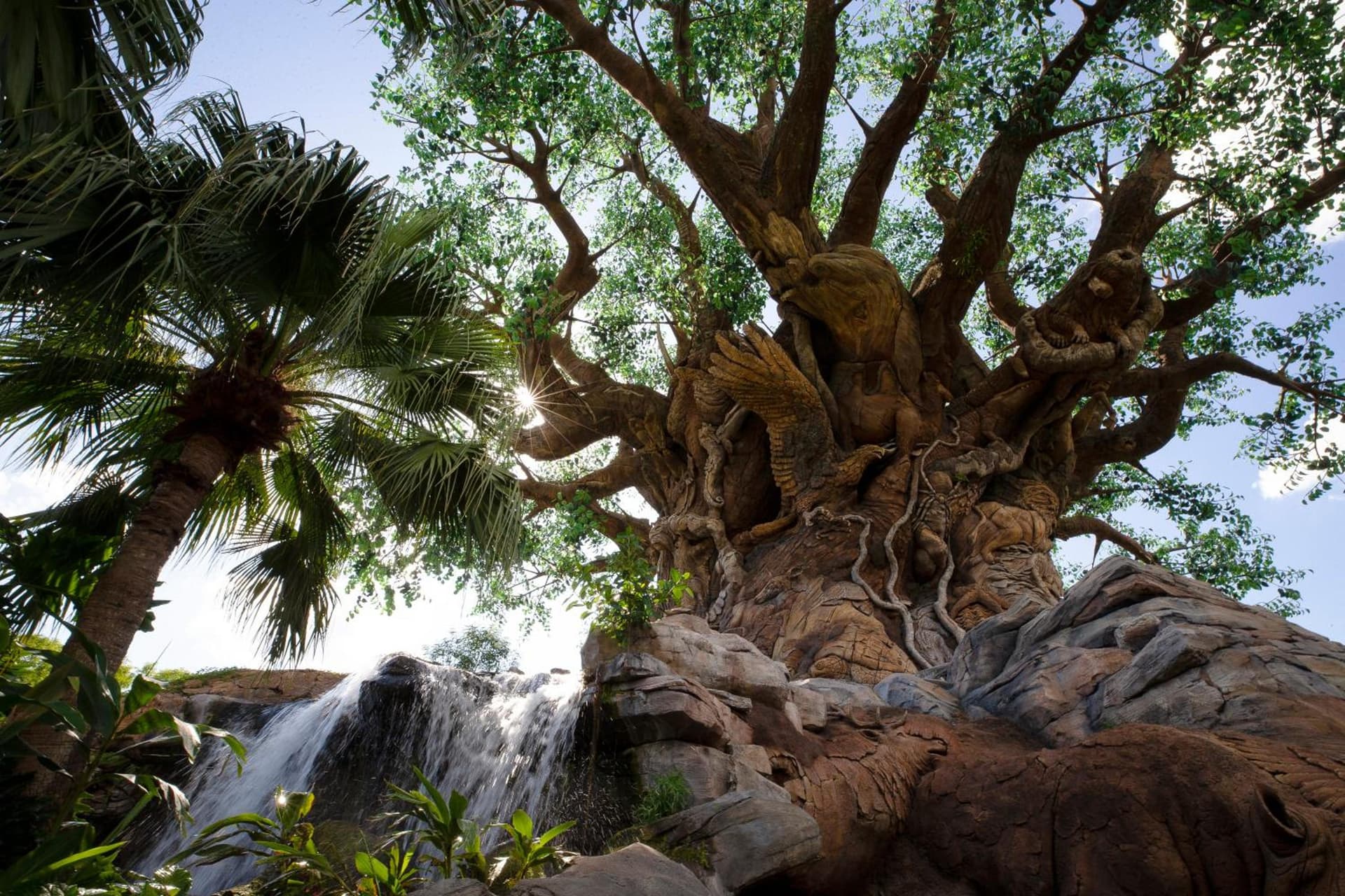 Holiday Inn Orlando – Disney Springs® Area by IHG gallery photo in Orlando, FL — image 22