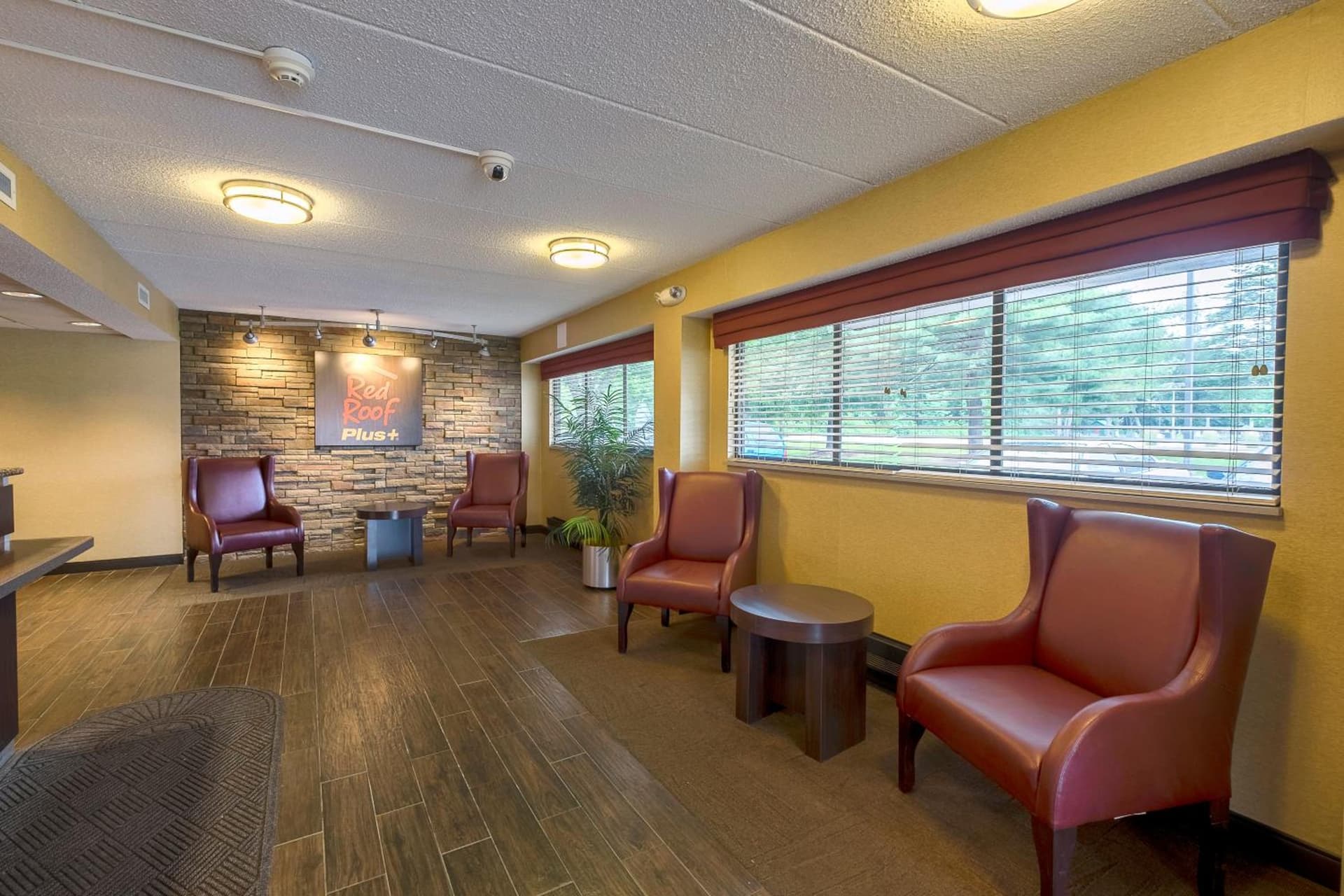Red Roof Inn PLUS+ West Springfield gallery photo in Springfield, MA — image 32