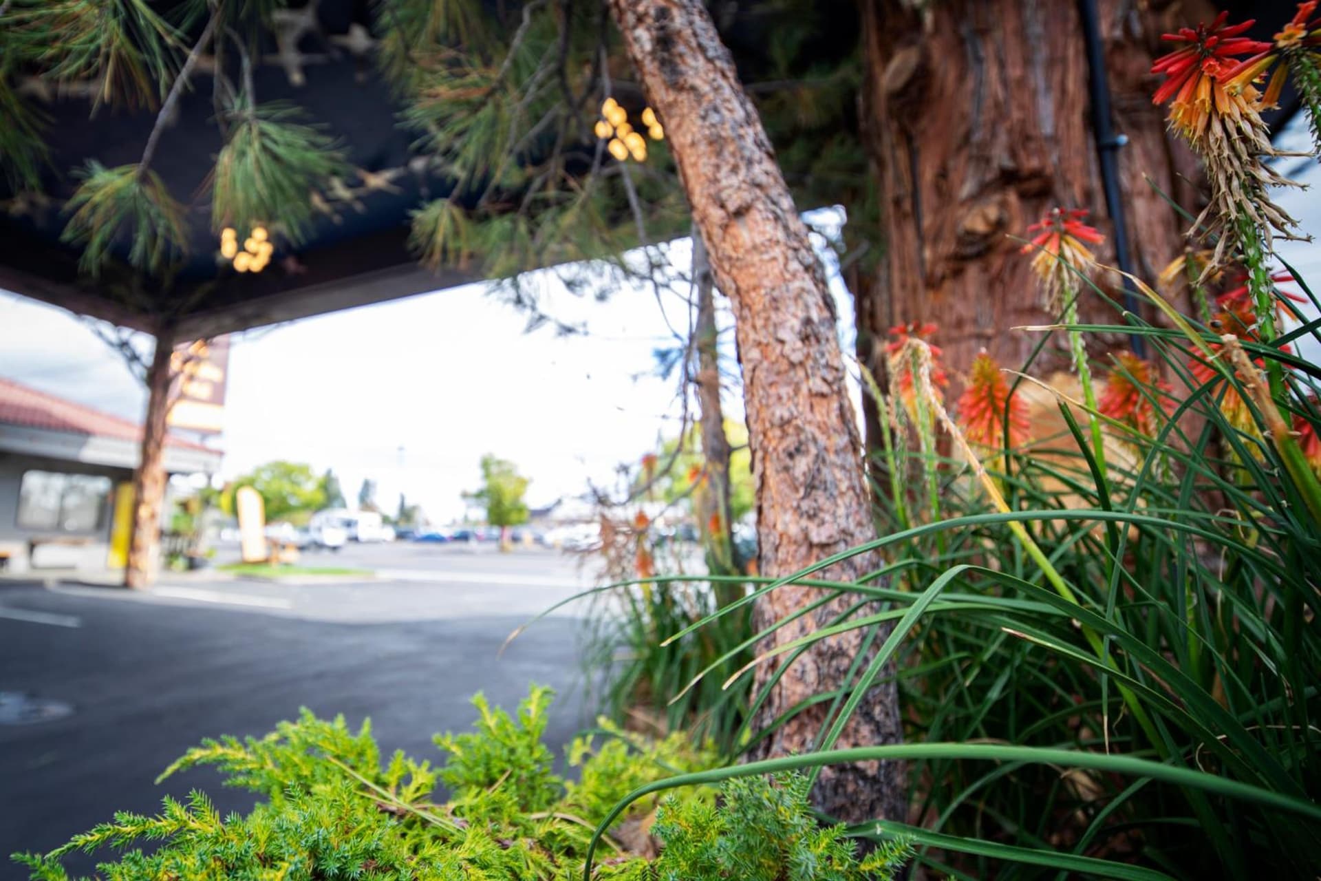 Campfire Hotel gallery photo in Bend, OR — image 52