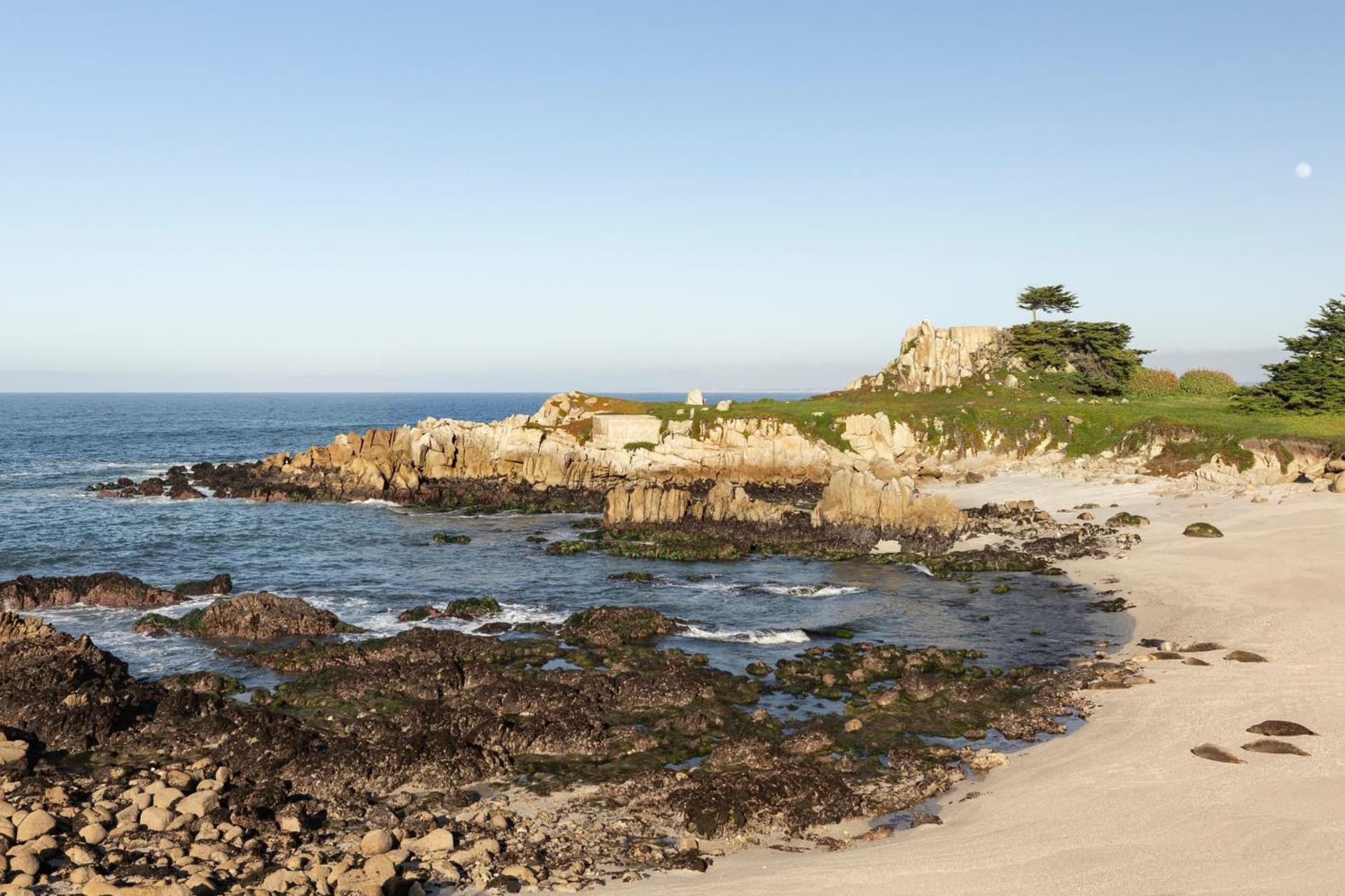 InterContinental The Clement Monterey by IHG gallery photo in Monterey, CA — image 85
