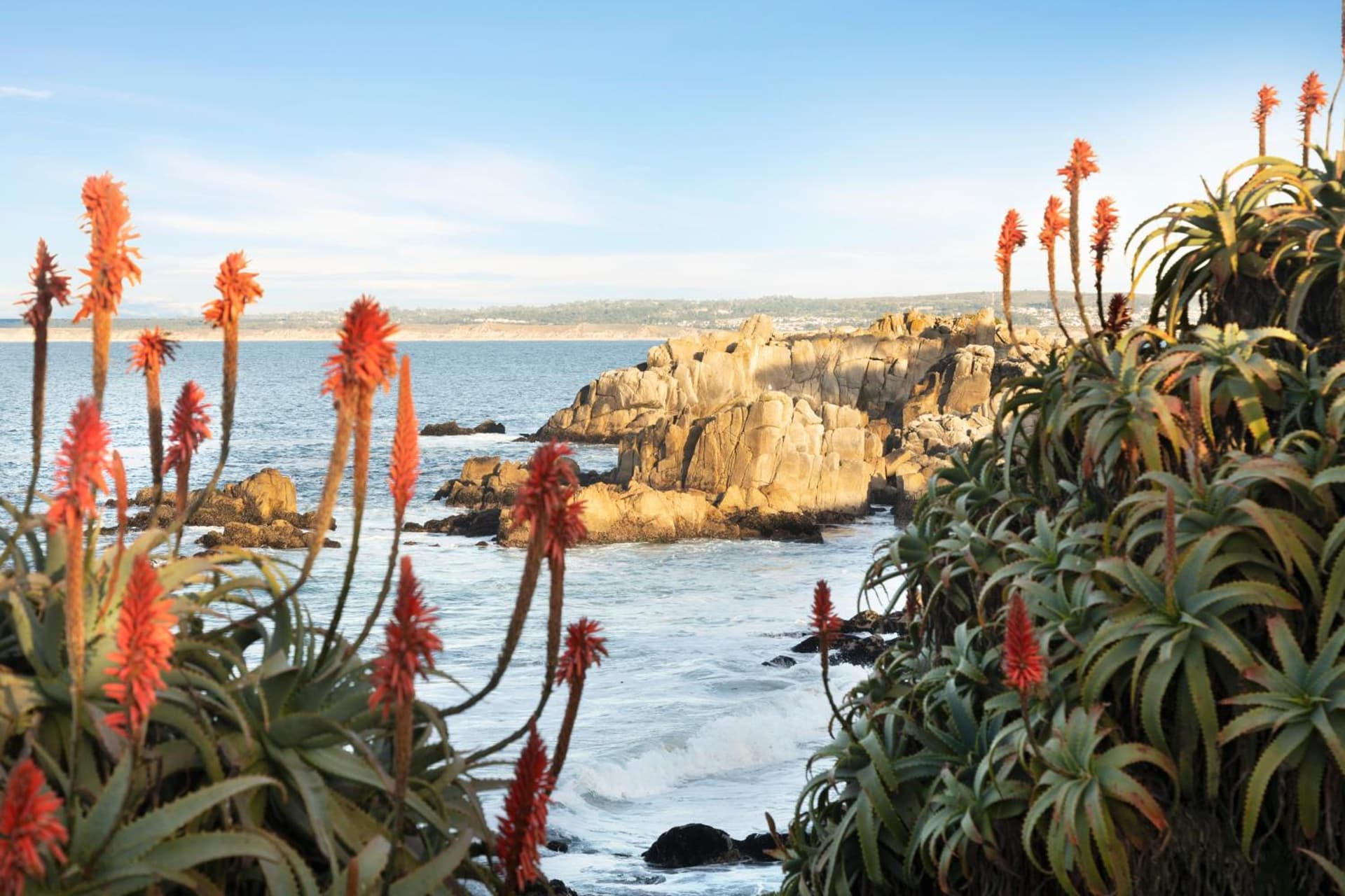 InterContinental The Clement Monterey by IHG gallery photo in Monterey, CA — image 77