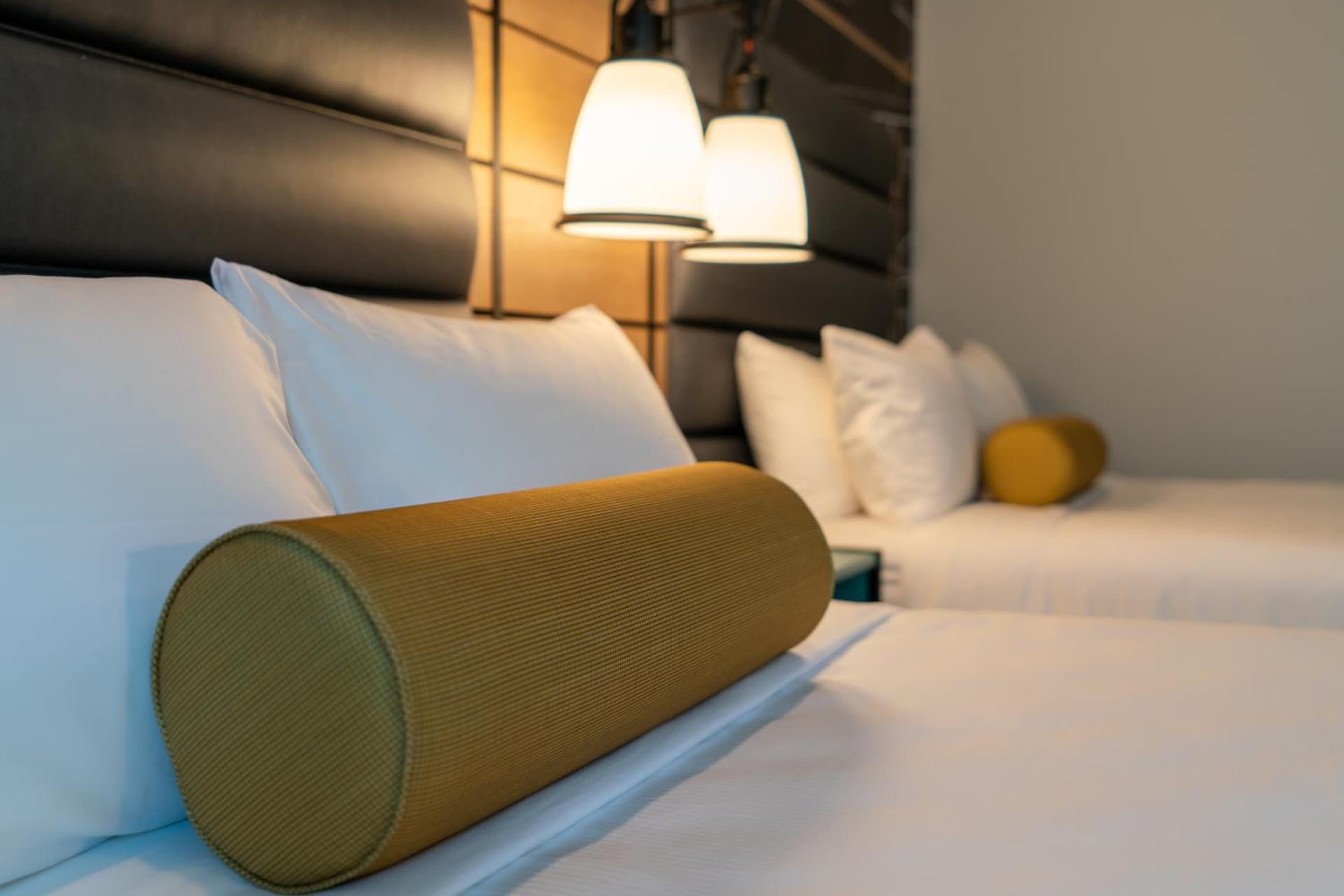 Hotel Indigo Tallahassee - Collegetown by IHG gallery photo in Tallahassee, FL — image 57