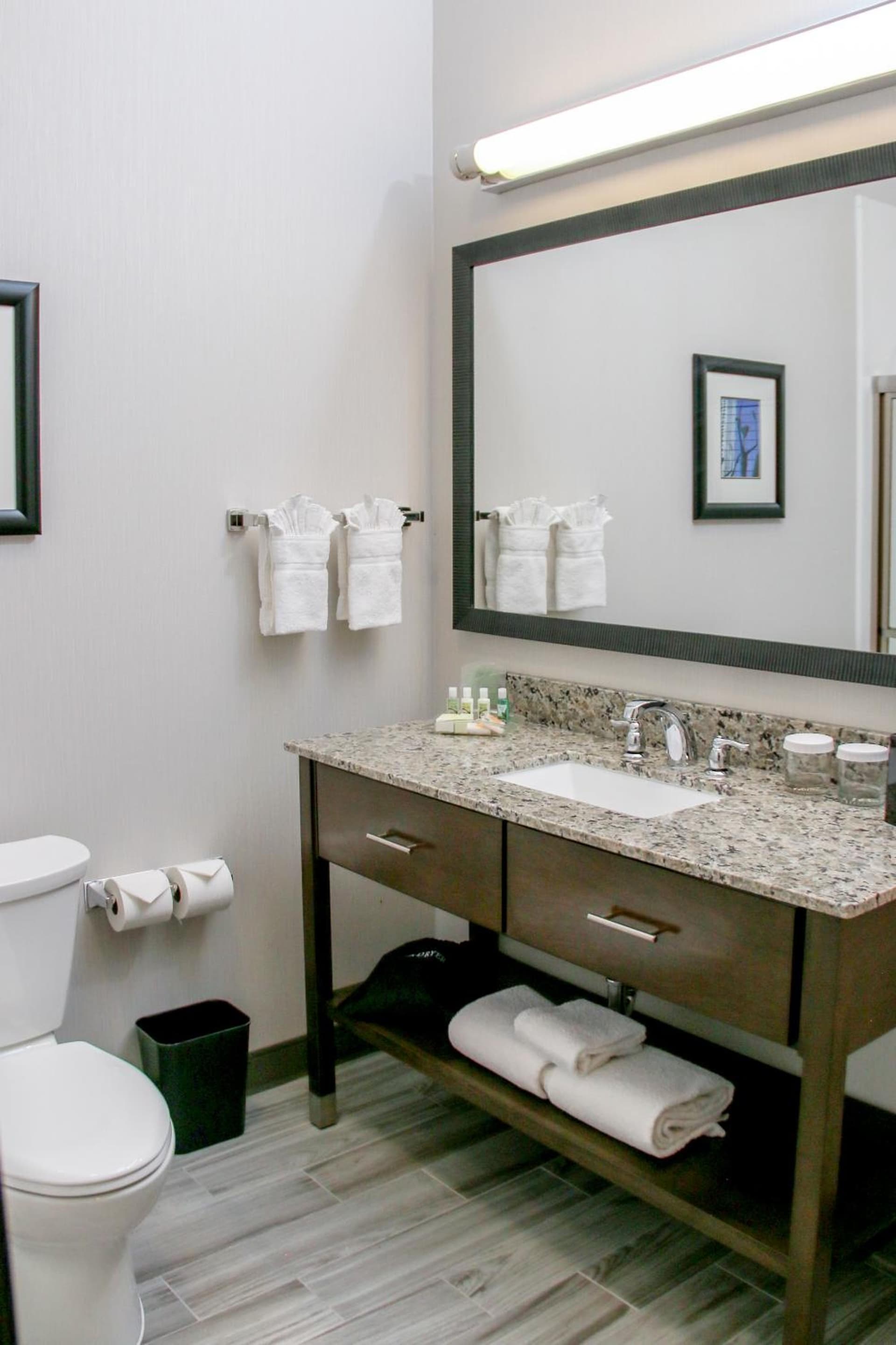 Holiday Inn & Suites Denver Tech Center-Centennial by IHG gallery photo in Centennial, CO — image 29