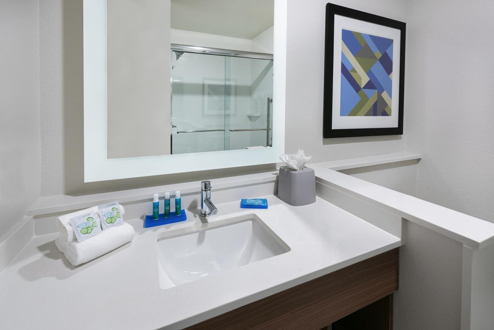 Holiday Inn Express & Suites Bryan - College Station by IHG property views in Bryan, TX — gallery photo 3