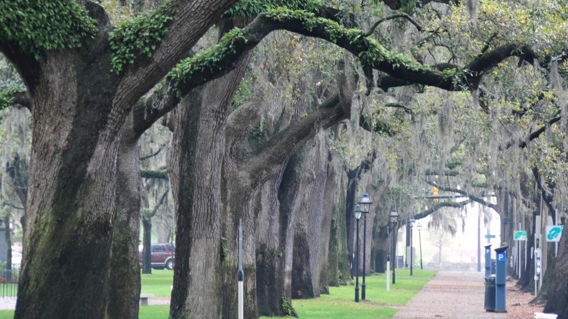 Hotel Indigo Savannah Historic District by IHG gallery photo in Savannah, GA — image 67