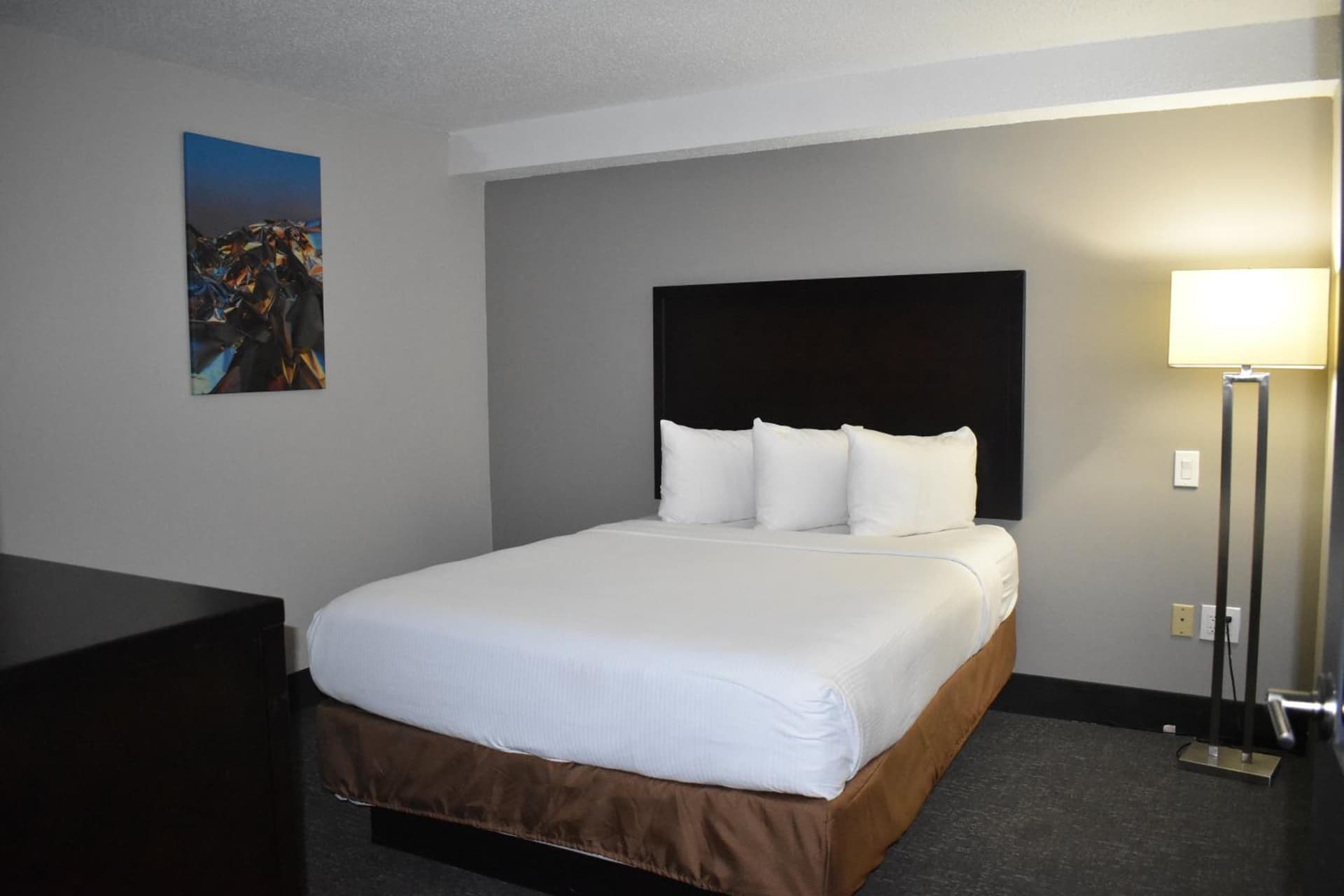 Wingate by Wyndham Atlanta Galleria/ Ballpark gallery photo in Atlanta, GA — image 40