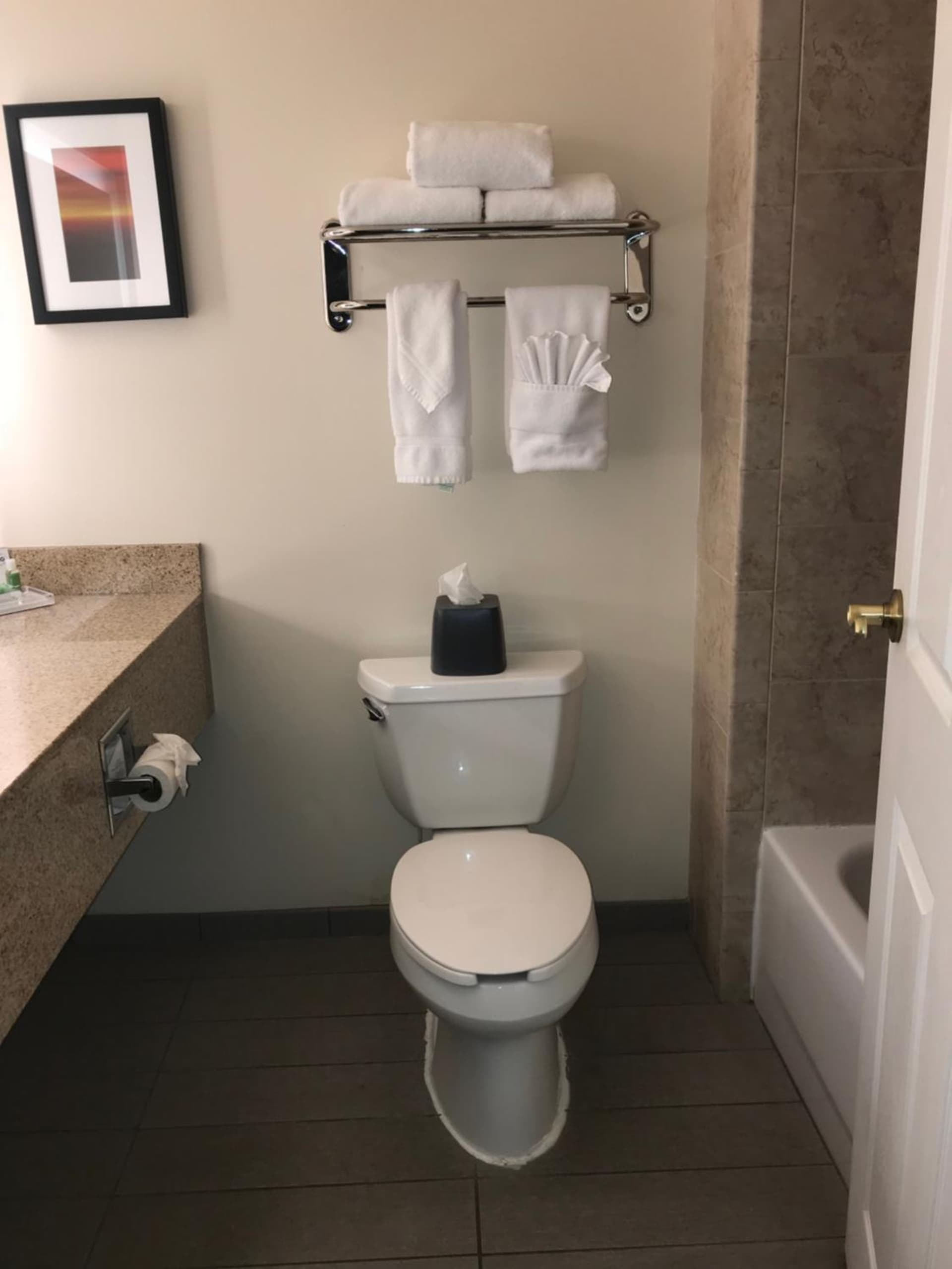 Holiday Inn Hotel & Suites Ann Arbor University of Michigan Area by IHG gallery photo in Ann Arbor, MI — image 34