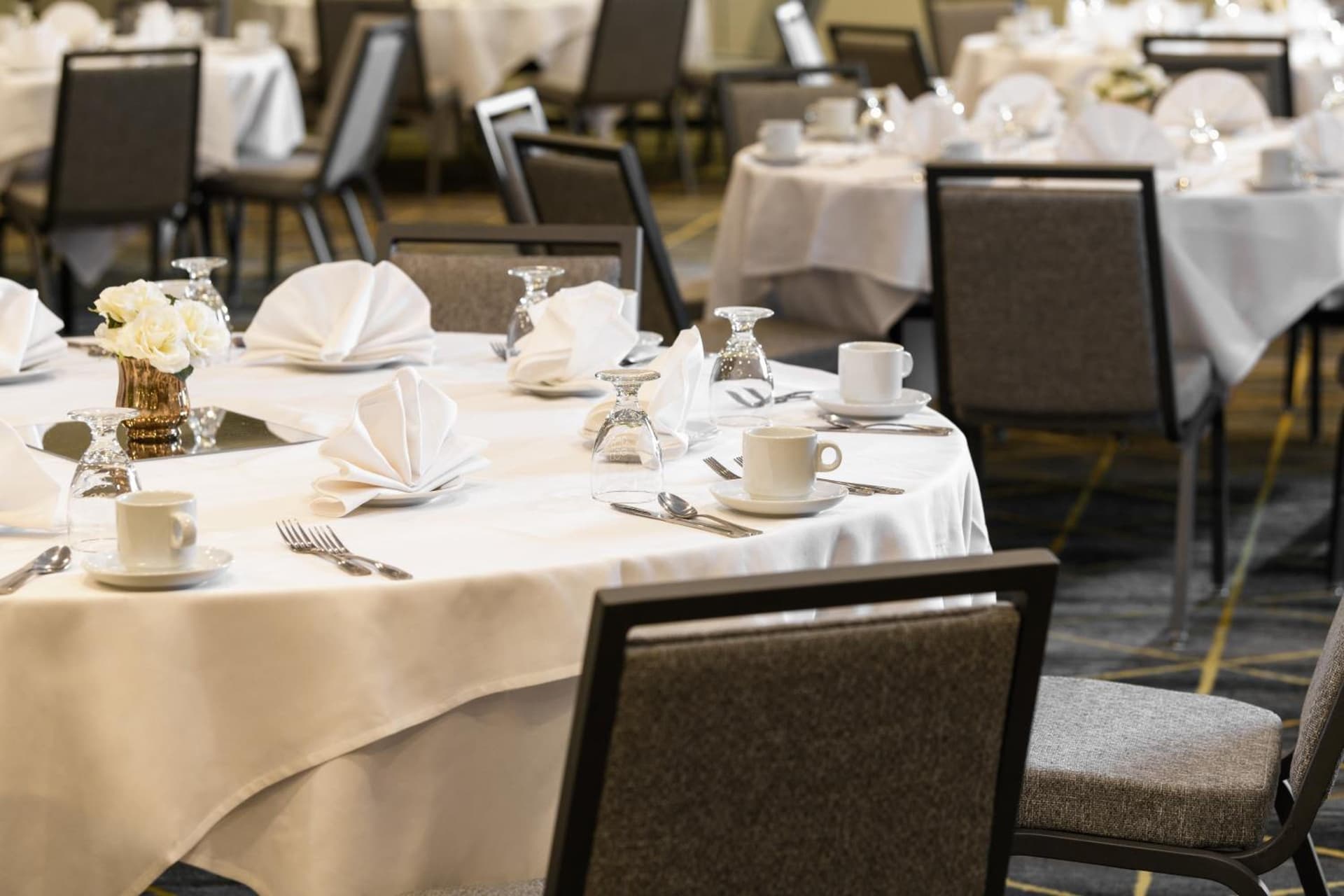 Holiday Inn & Suites Oakland - Airport by IHG property views in Oakland, CA — gallery photo 3