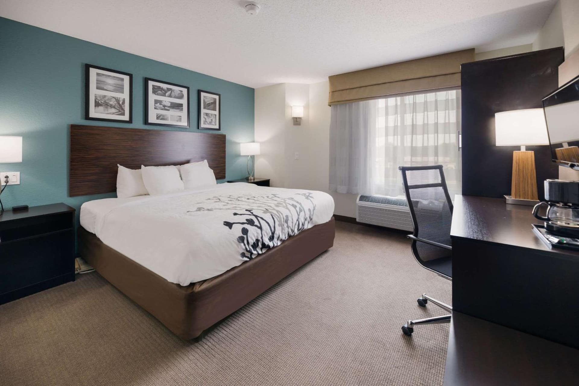 Sleep Inn & Suites Port Clinton gallery photo in Port Clinton, OH — image 12