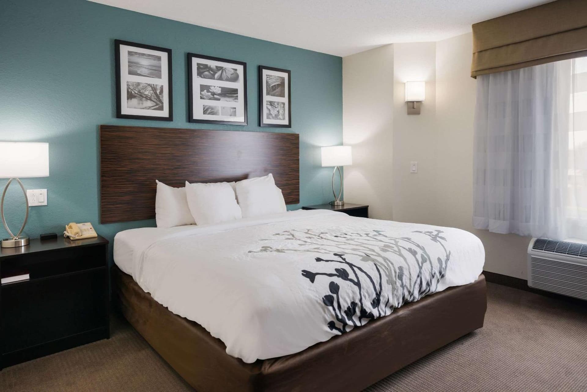 Sleep Inn & Suites Port Clinton gallery photo in Port Clinton, OH — image 14