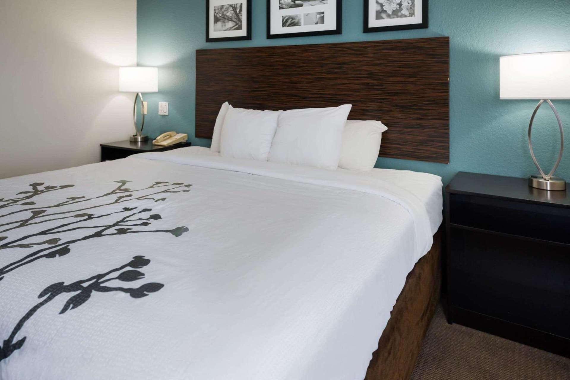 Sleep Inn & Suites Port Clinton gallery photo in Port Clinton, OH — image 10